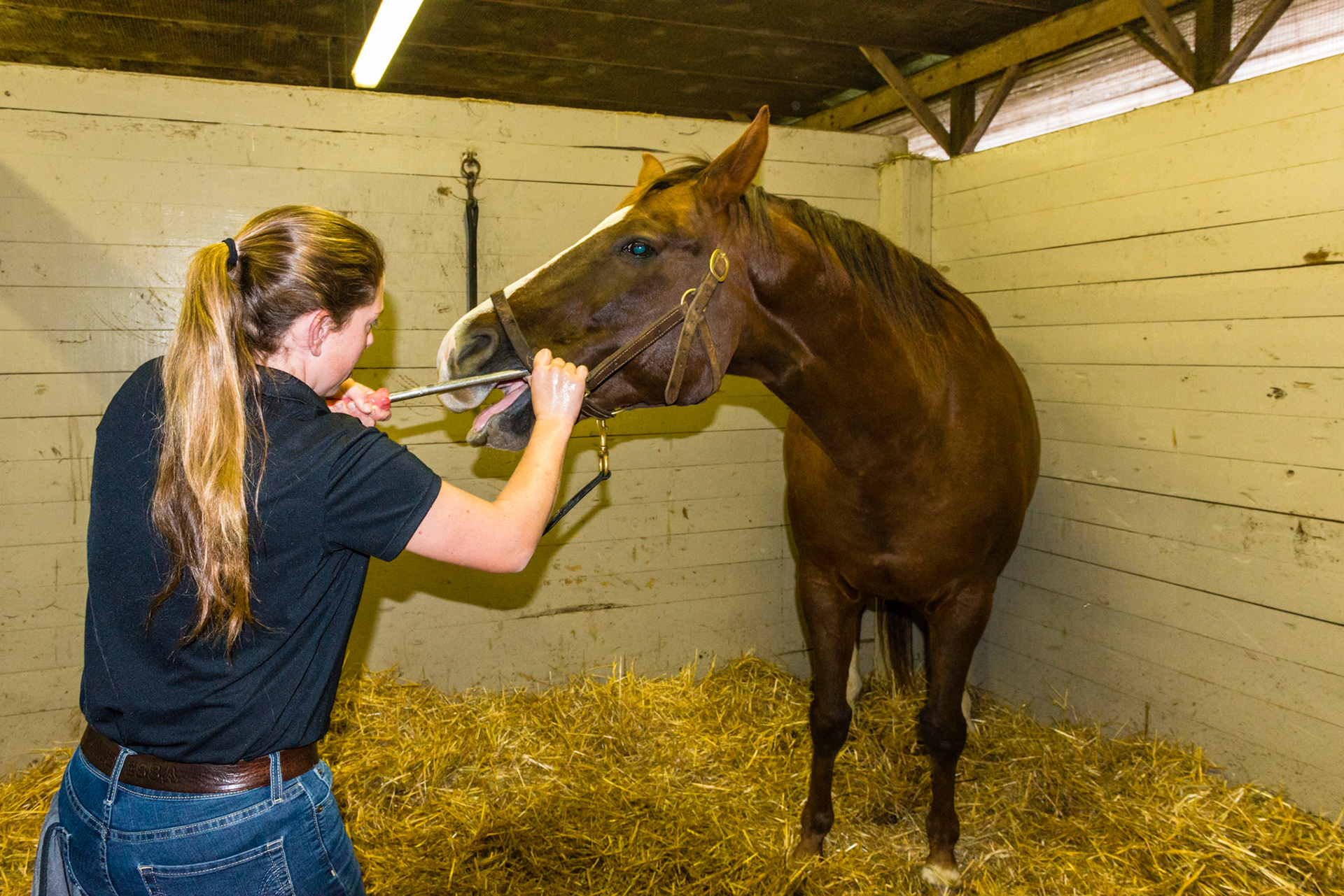 Melissa follows the horse as he moves his head to his right. Because she is connected through the core, her body and float are still in proper alignment with the horse. She is demonstrating the pool cue technique with her right thumb.