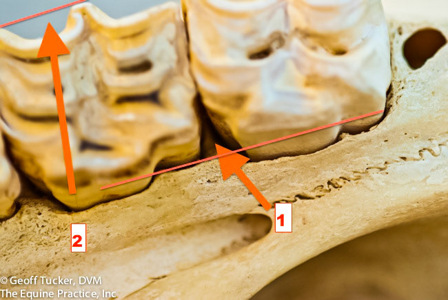 HDS_Anno_Nooks and crannies