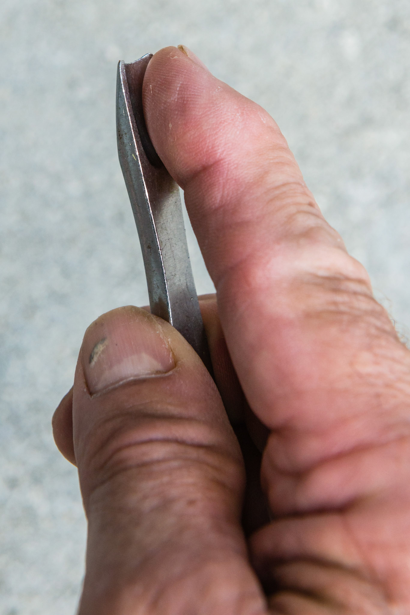 Forefinger and elevator tip facing up, closed side of fist.