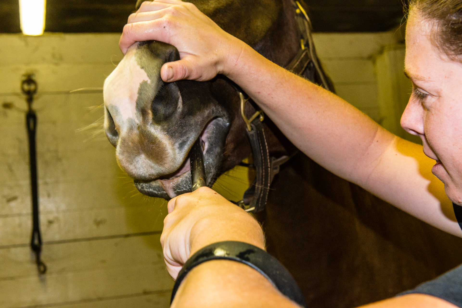 The blade is yawed in against the caudal #4 arcade and the blade is rolled into the vertical position (the thumb of the floating hand faces Melissa indicating the blade is facing away from her and towards the vertical lingual wall of the arcade). The draw stroke follows the arcade rostrally.