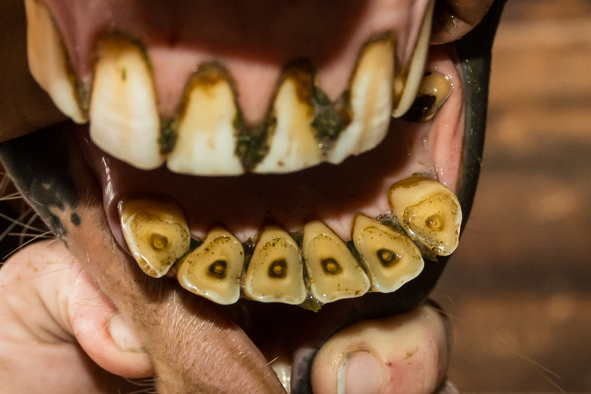 24yr old, Relaxed space