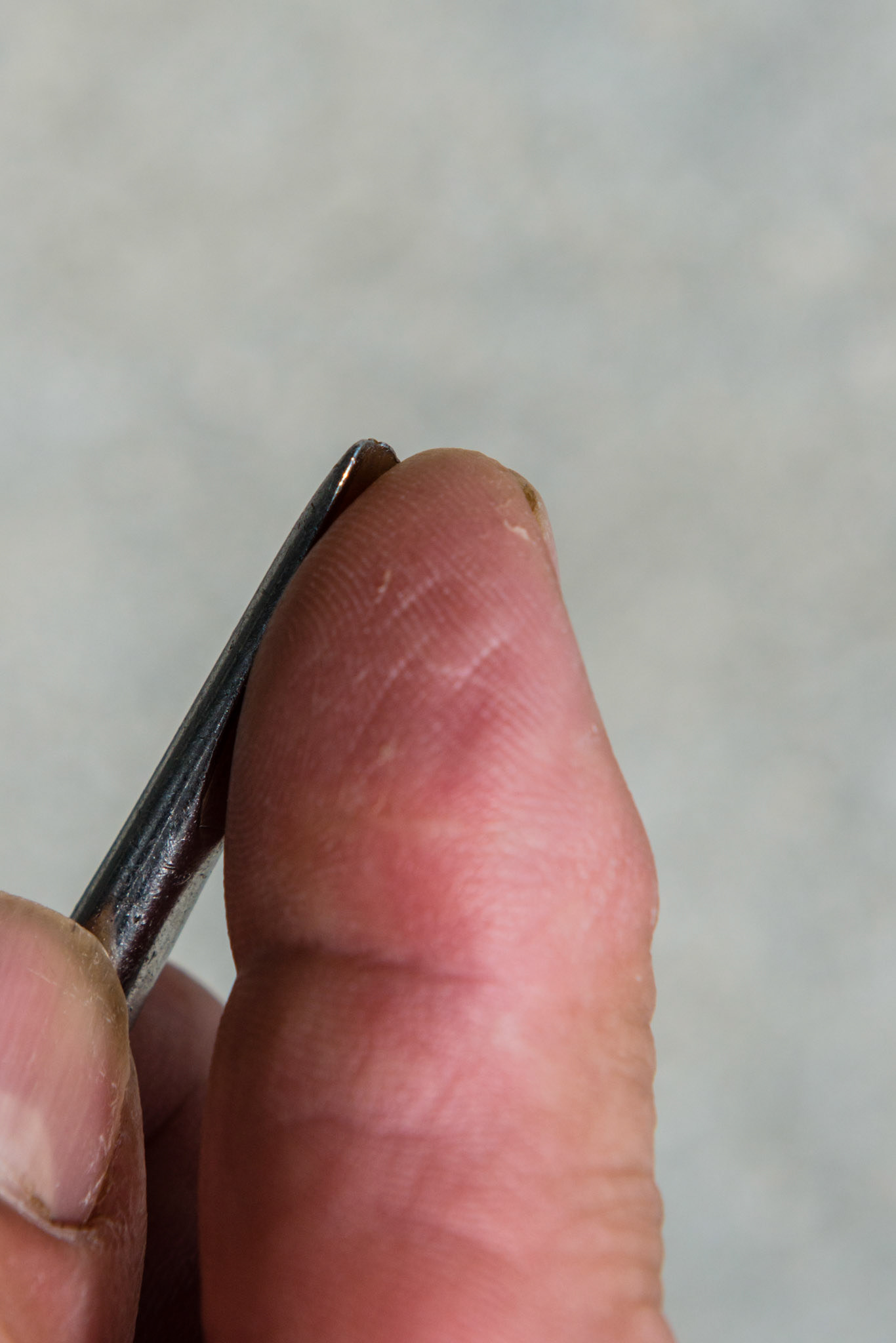 The curve of the elevator tip faces the fingerprint side of the thumb.