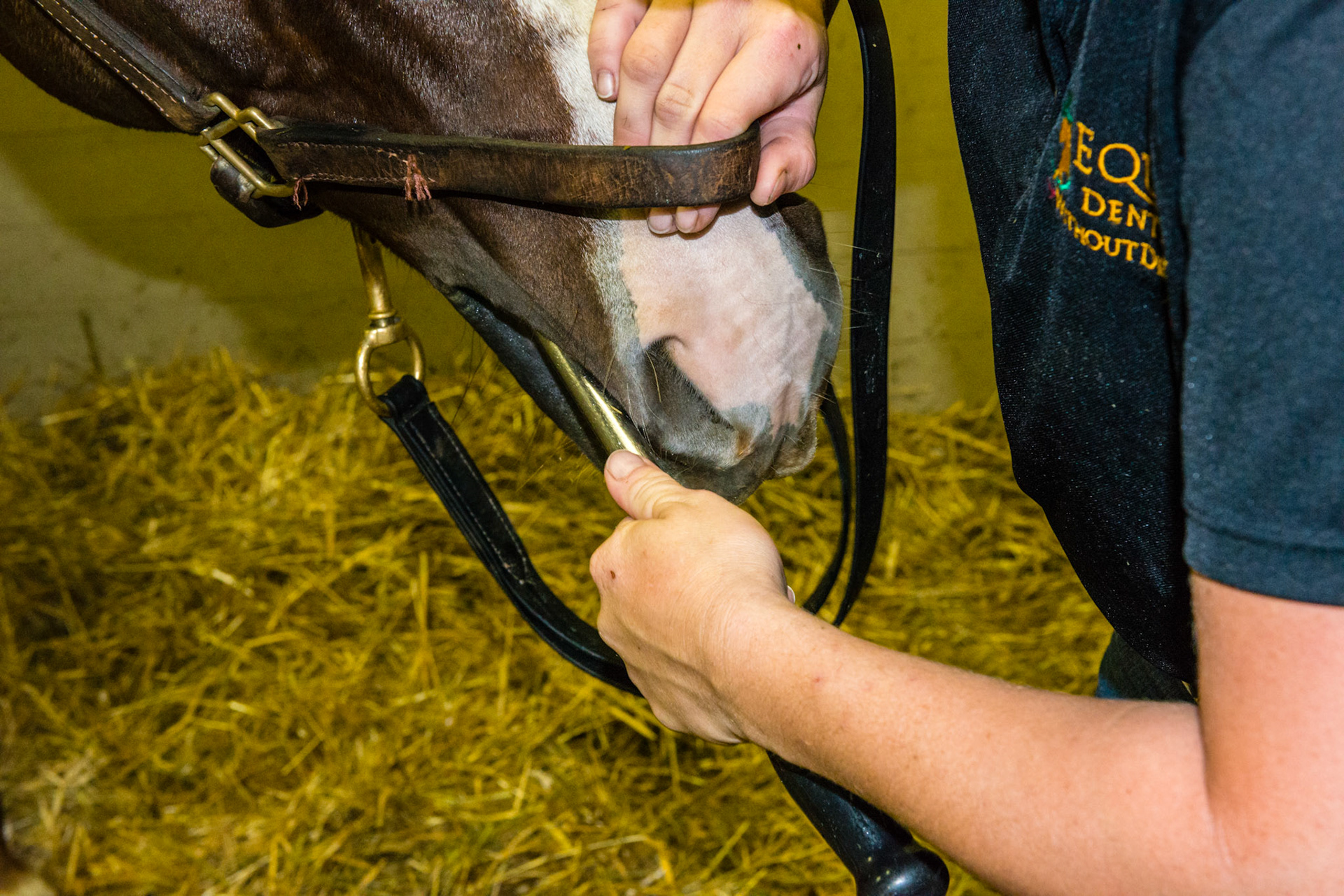 This is the standard grip of the shortie as it yaws out on either the upper or lower 6.