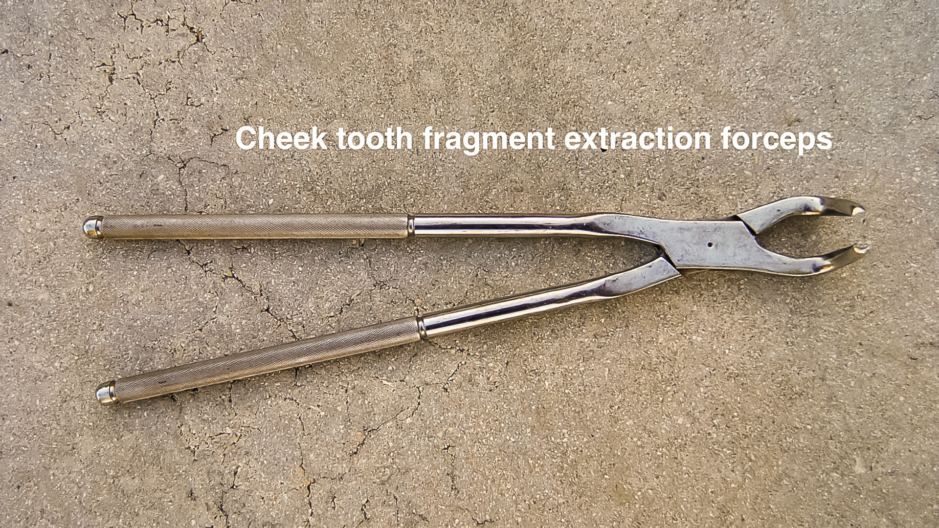 HDS_Anno_Instruments