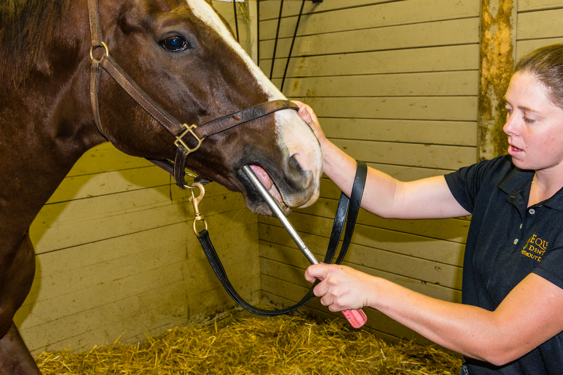 Long float on the rostral lower 6's