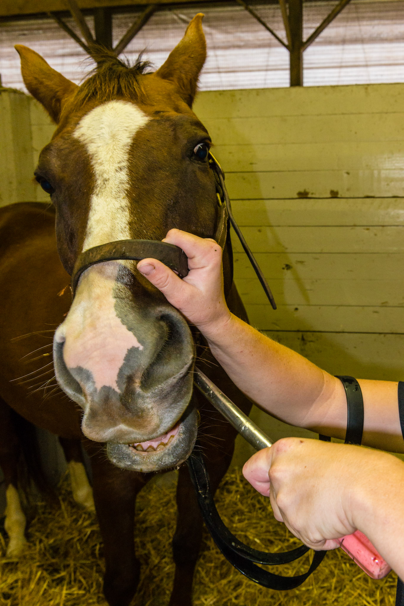 This is the across the tongue technique which from the outside looks like the over under technique with the difference of blade orientation (vertical) and the arcade worked on (opposing lower).
