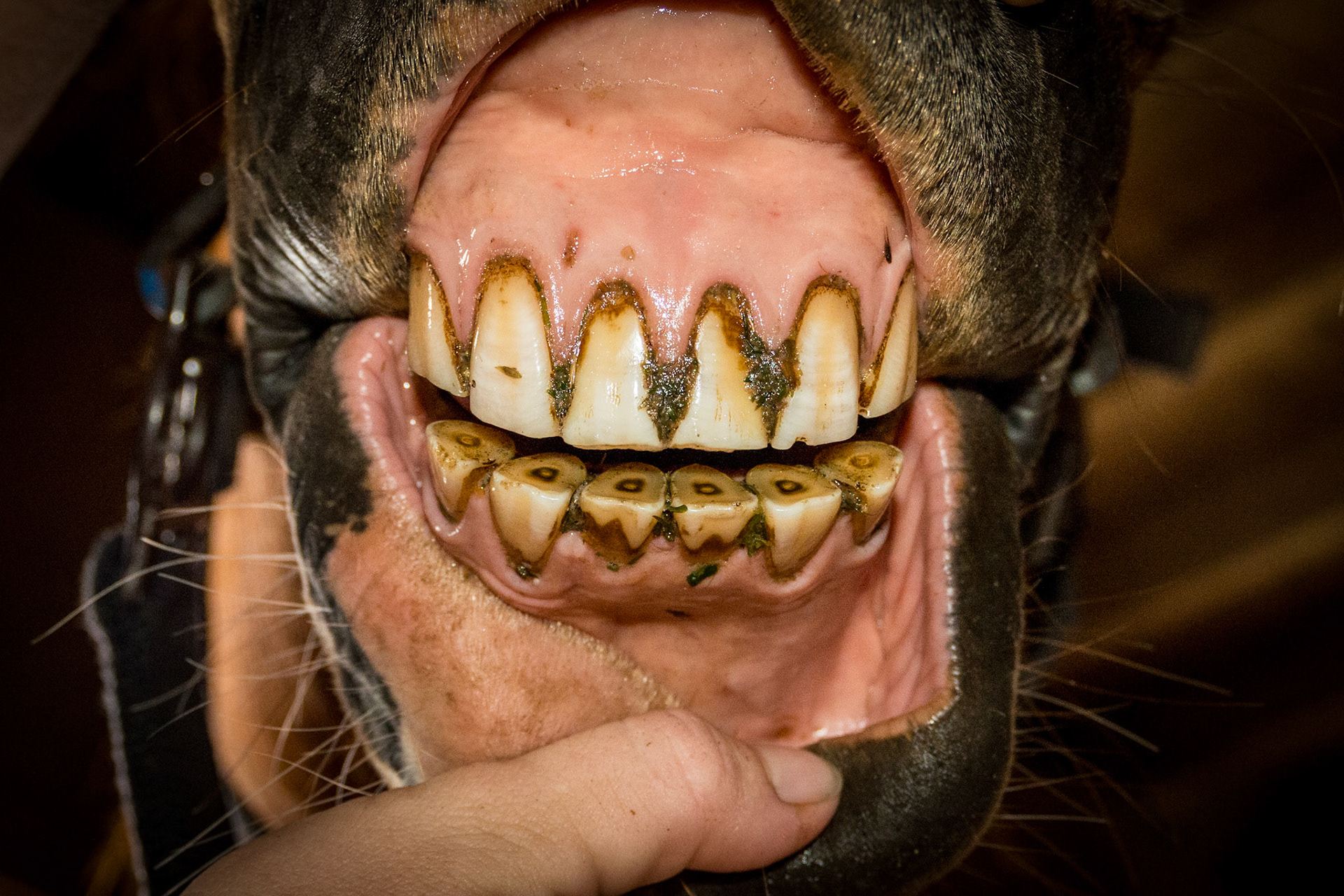 24yr old, Relaxed space