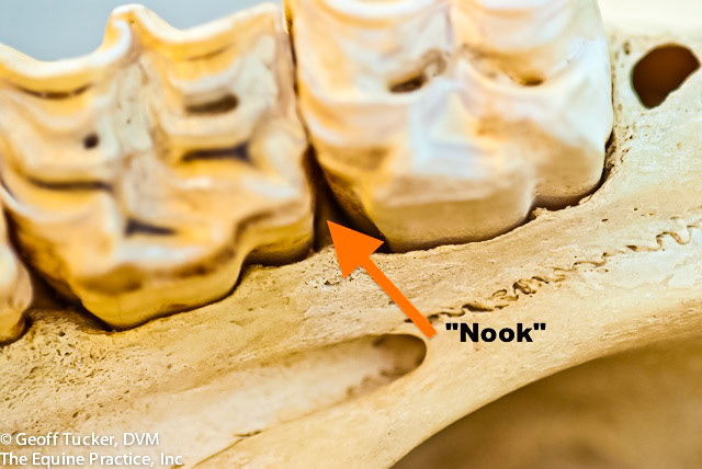 HDS_Anno_Nooks and crannies