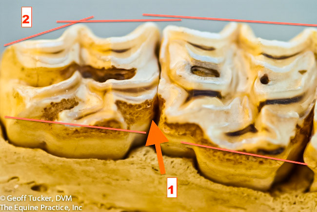 HDS_Anno_Nooks and crannies
