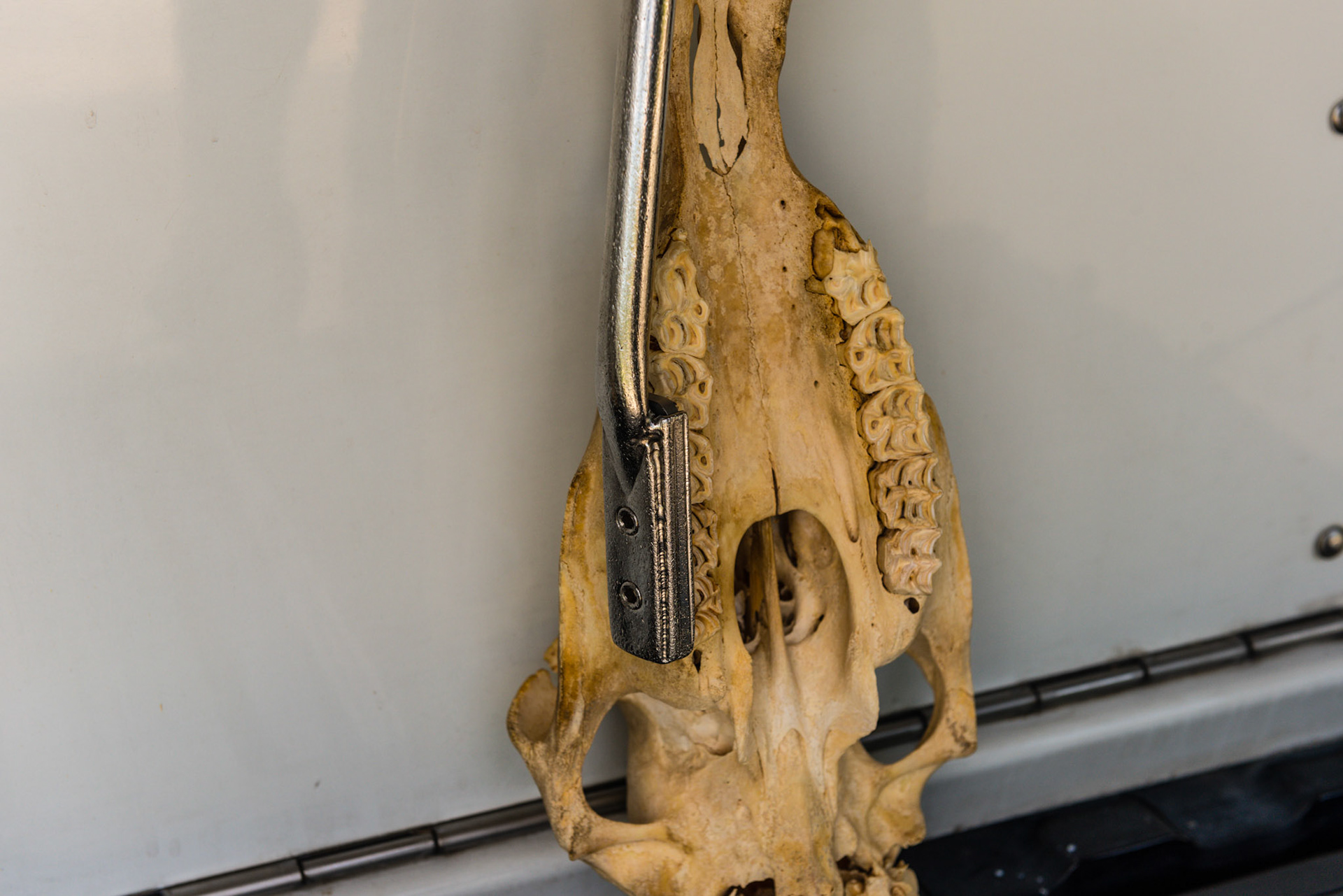 The long float continues in a parallel position back along the rest of the upper arcade. This helps to maintain the smooth edge for a longer period of time by reducing the cingulae further up the tooth.