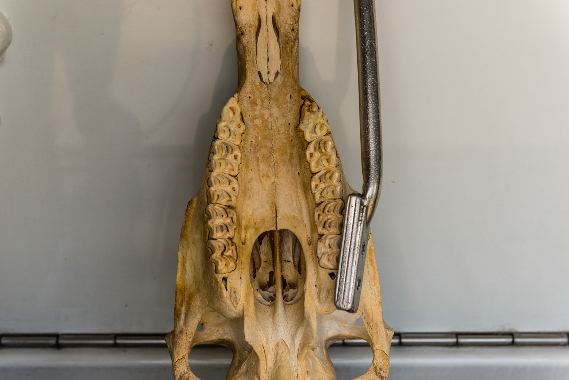 Yaw in - tip of blade moves towards the arcade relative to the side the arcade is being worked on.