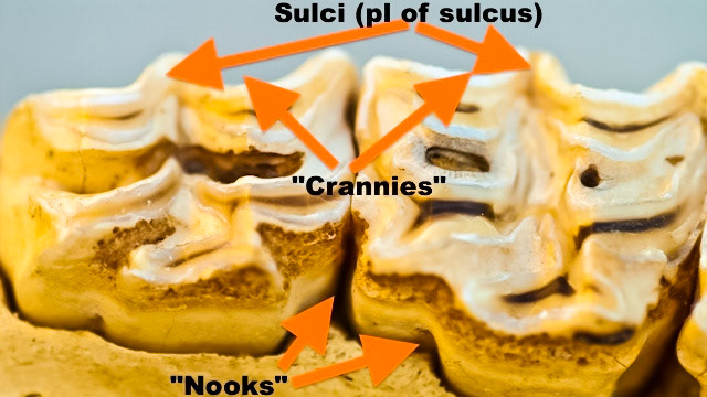 HDS_Anno_Nooks and crannies