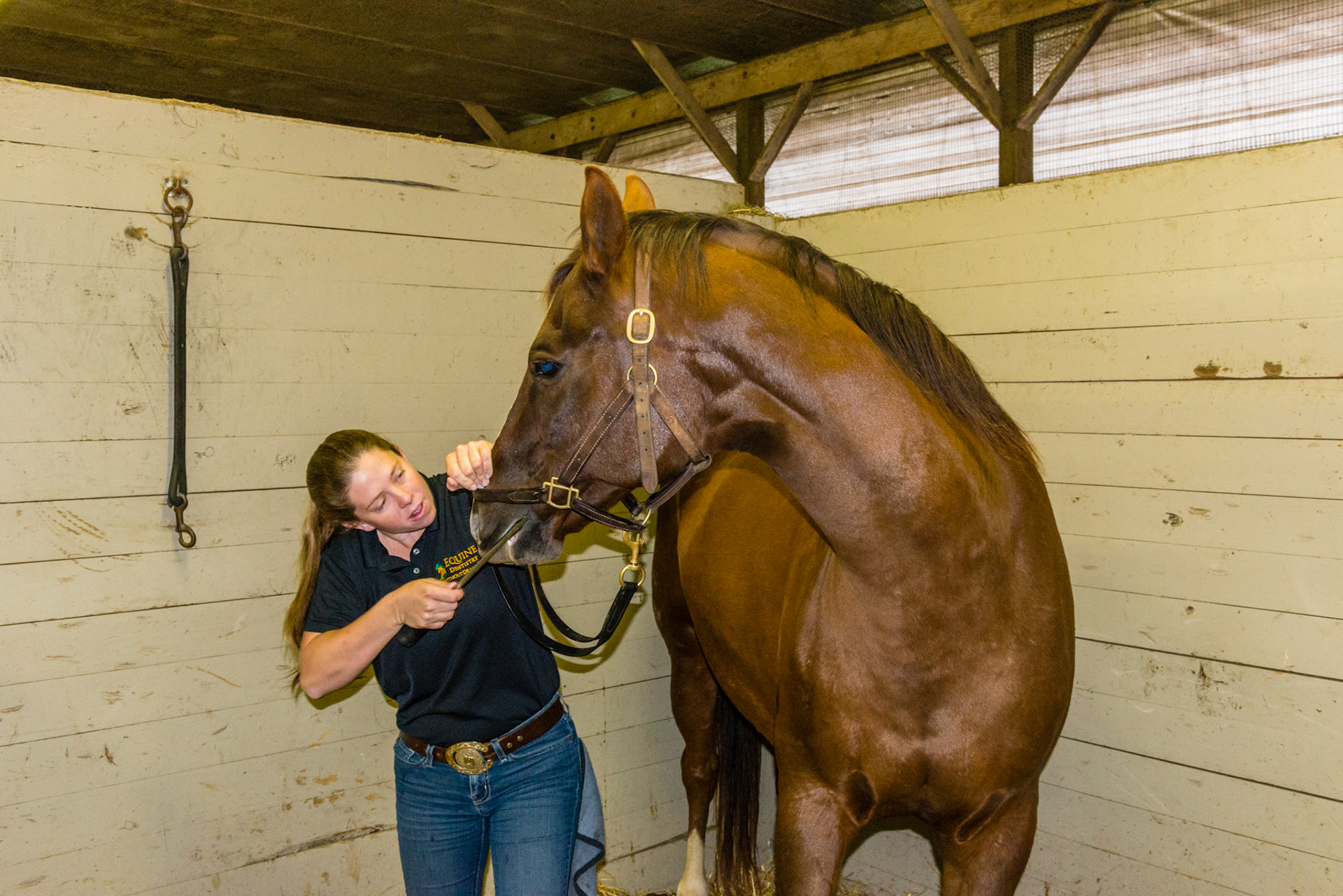 Even with the horse "jack knifed" to the right, Melissa keeps her position the same relative to the horse by moving and bending with the horse.