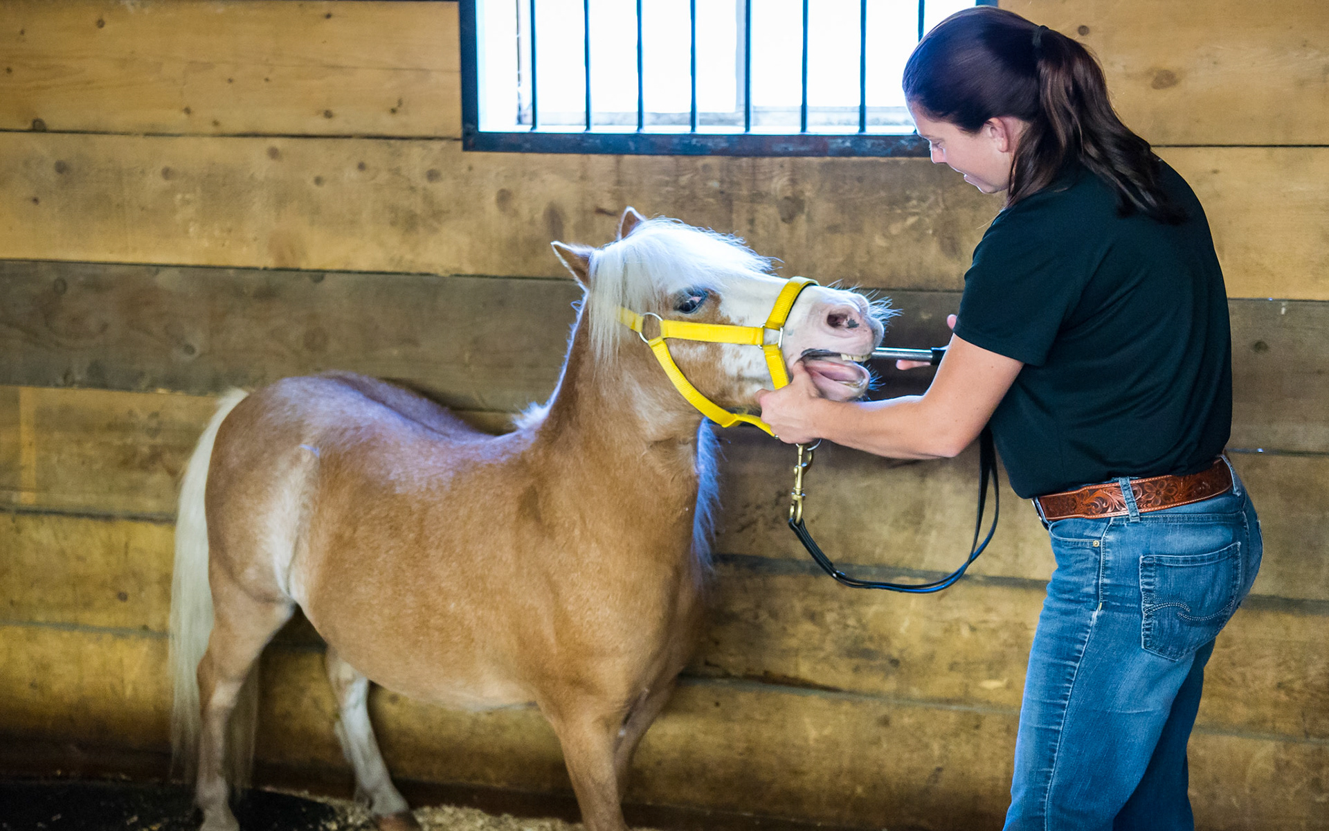 Melissa is using the shortie on #106 and uses the thumb of her left hand to keep pressure on the back of the blade.