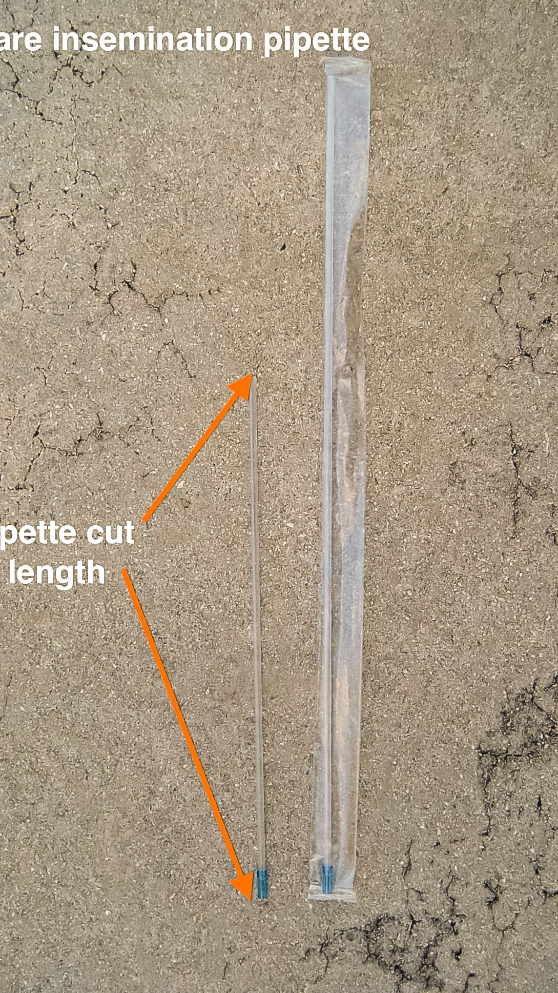 HDS_Anno_Instruments