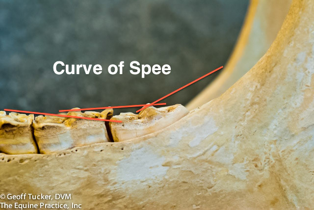 HDS_Anno_Approach Angles