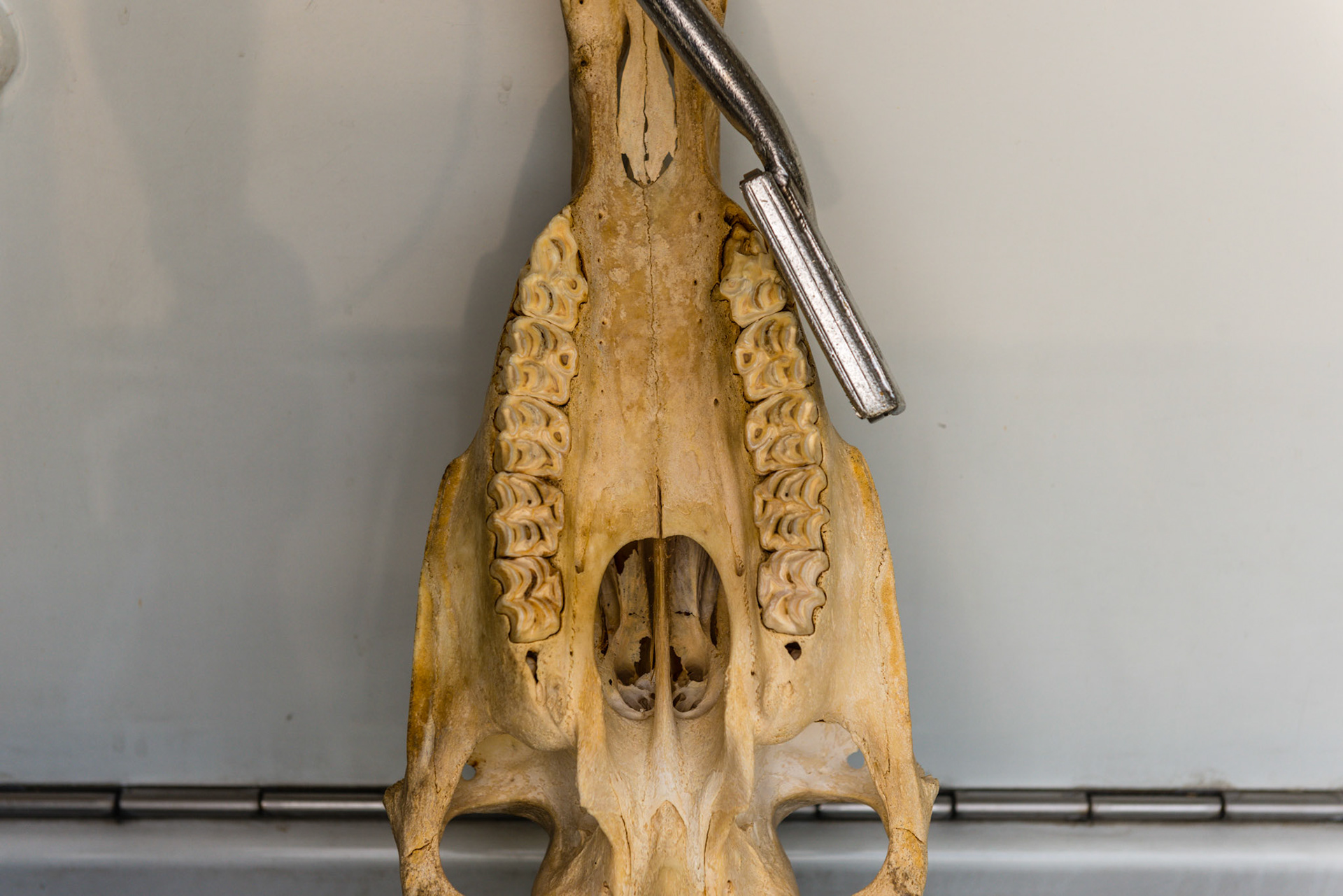 Yaw out - tip of blade moves away from the arcade relative to the side of the arcade being worked on.