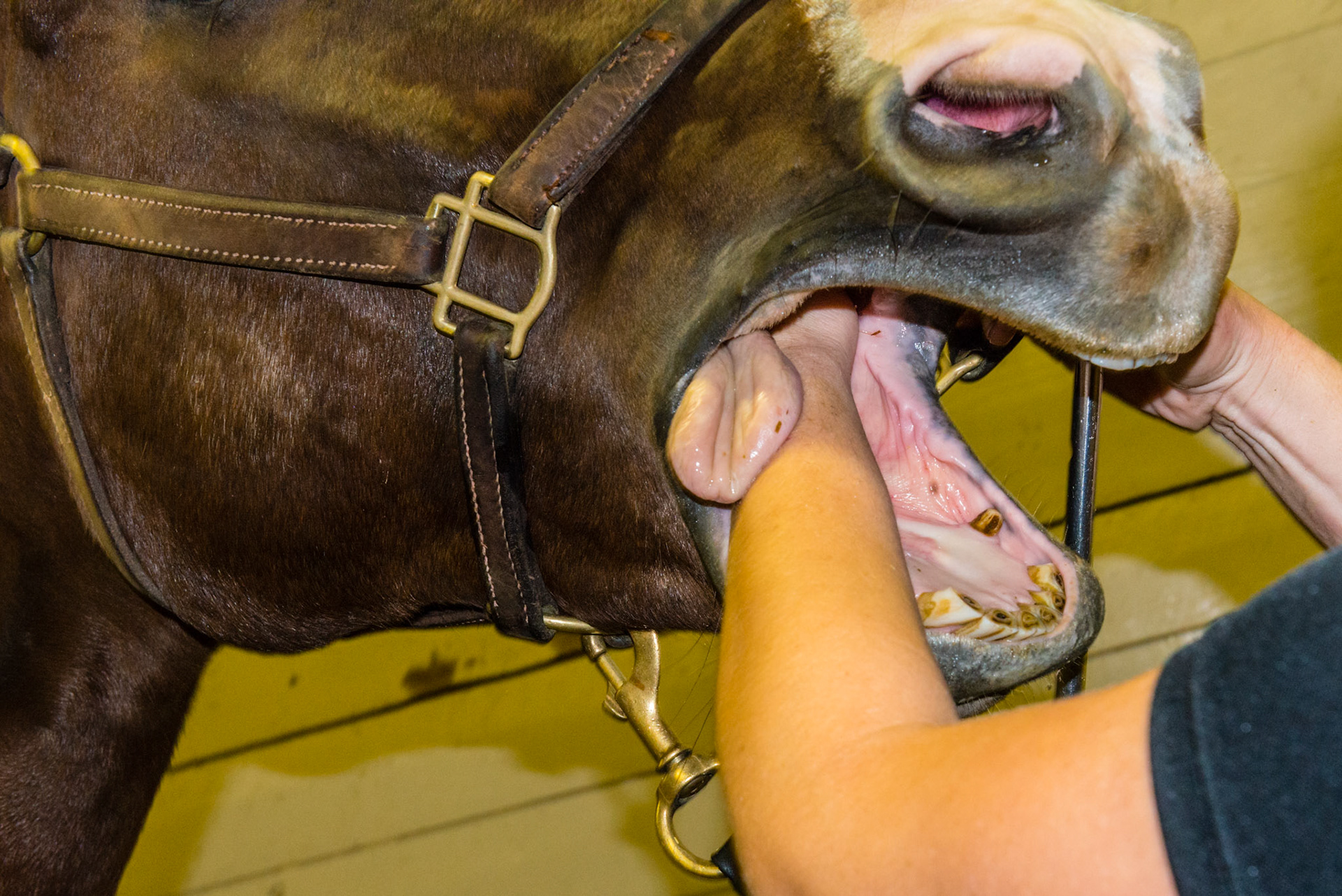 When doing the hand in mouth, it is important to displace the tongue fully behind the hand.