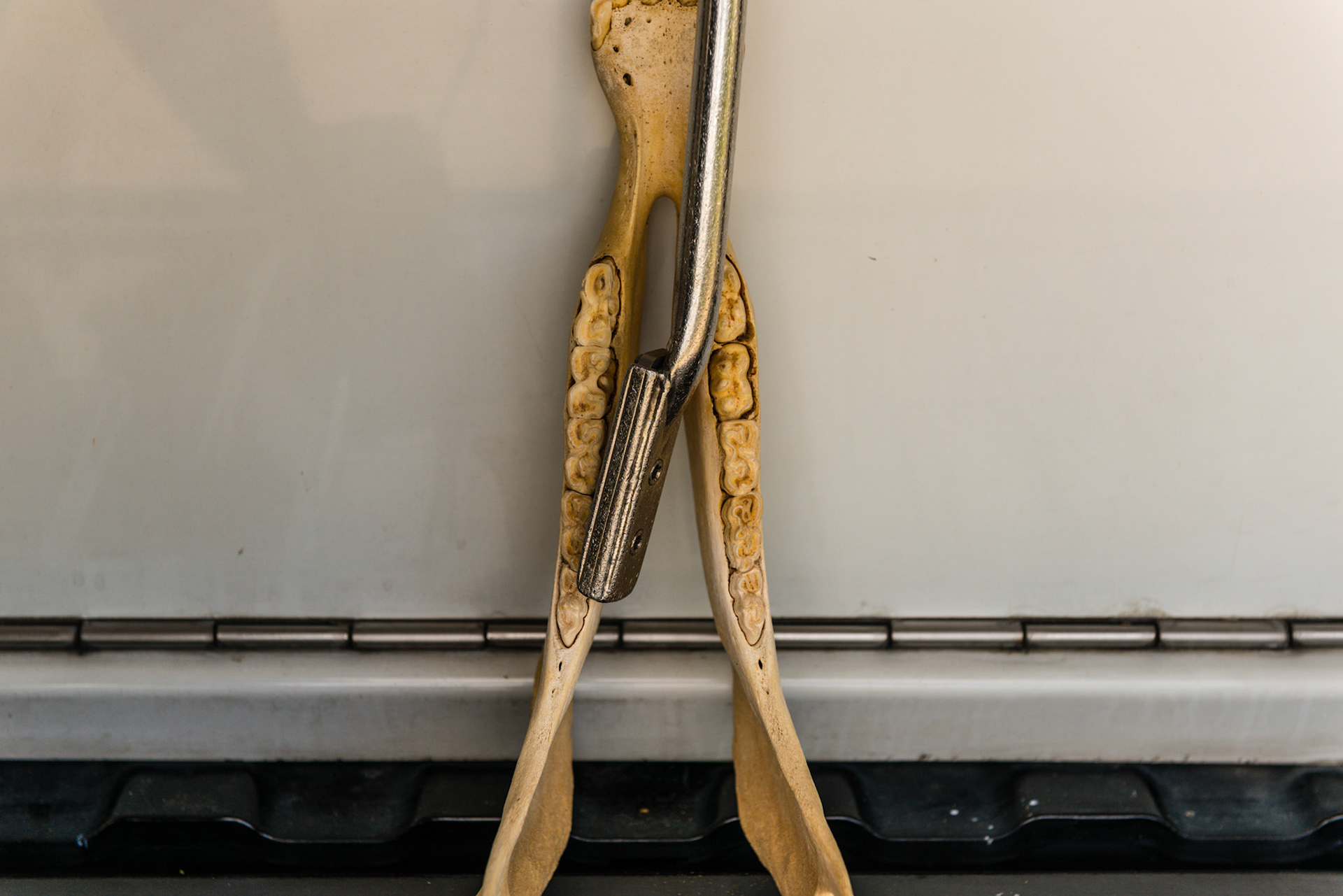 Yaw in - tip of blade moves towards the arcade relative to the side the arcade is being worked on. Good for lower nooks and crannies.