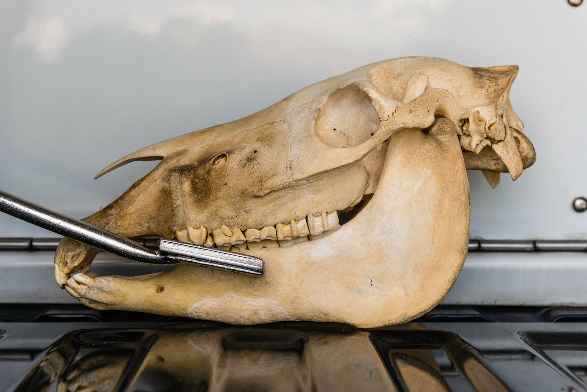 Pitch down - the tip is lowered