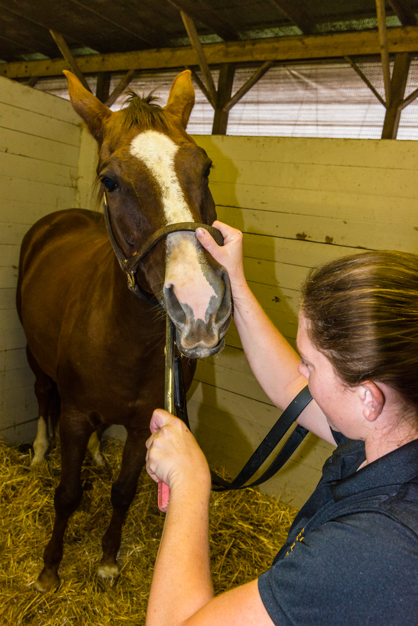 To approach the medial side of the lower 6, the blade is yawed out to follow the curved edge of the tooth.