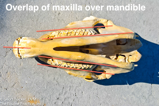 HDS_Anno_Approach Angles