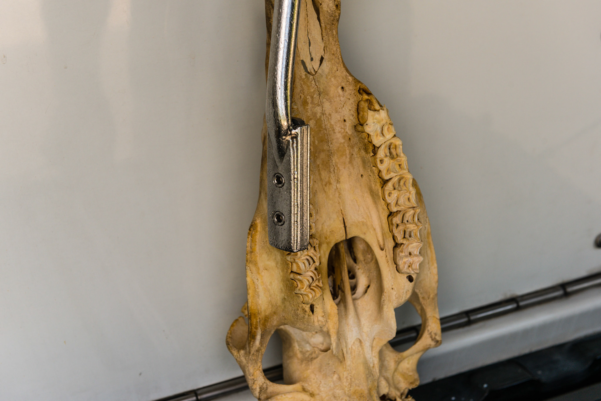 After tying in the 6 with the 7, the long float continues in a parallel position back along the rest of the upper arcade. This helps to maintain the smooth edge for a longer period of time by reducing the cingulae further up the tooth.