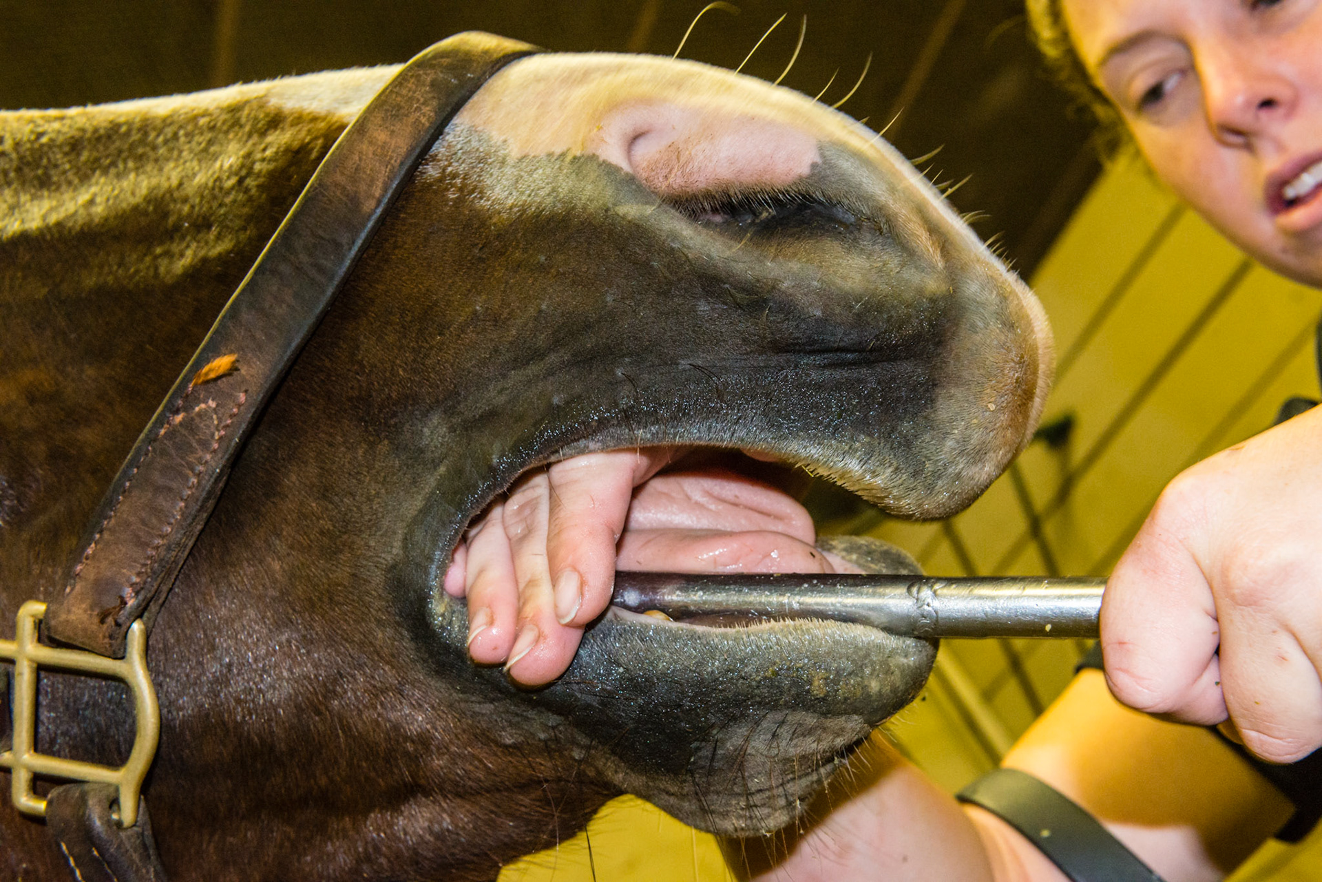 Hand over with slight cam and knuckles up.