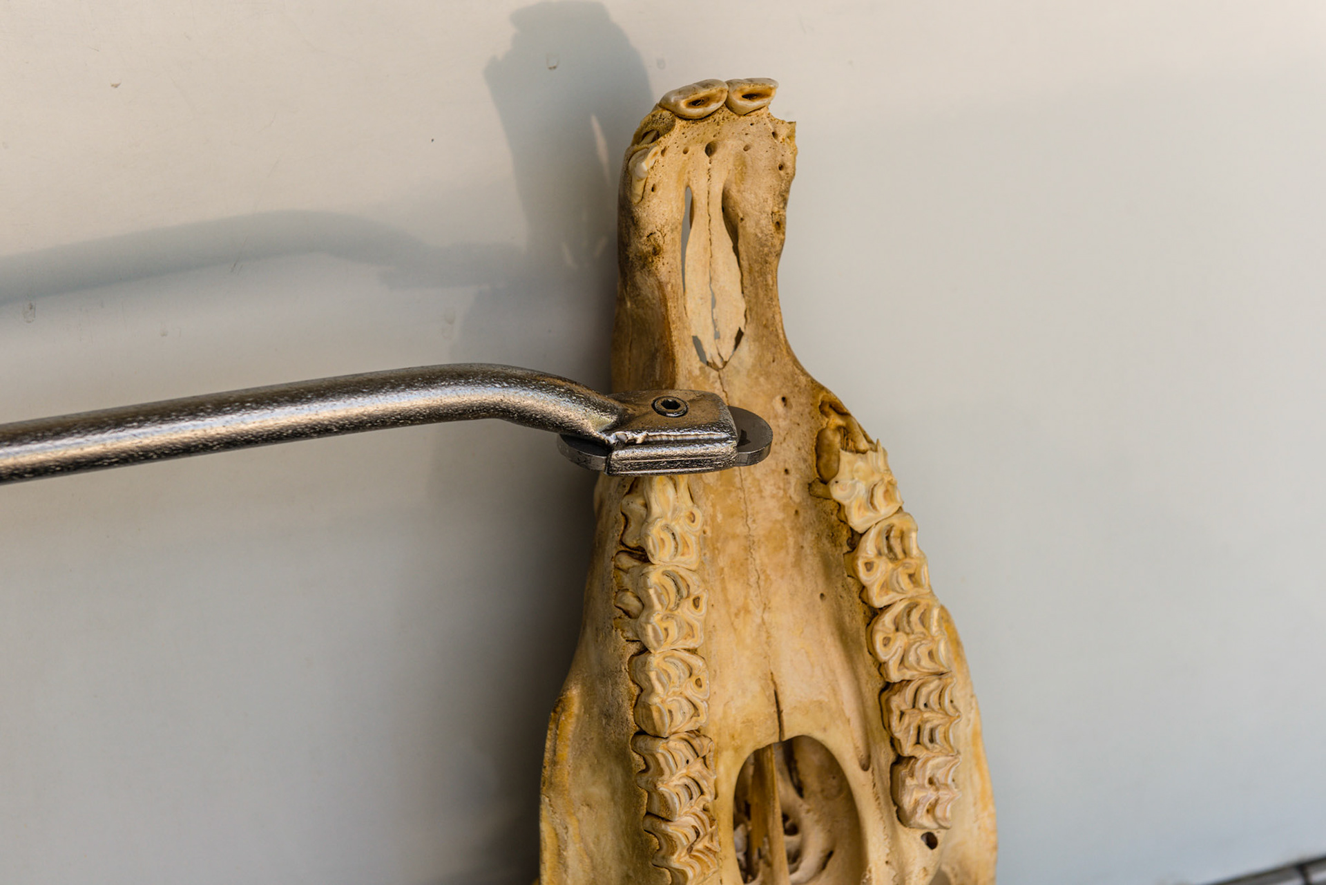 The shortie is yawed out and is rolled towards horizontal to follow the curve of the upper 6.