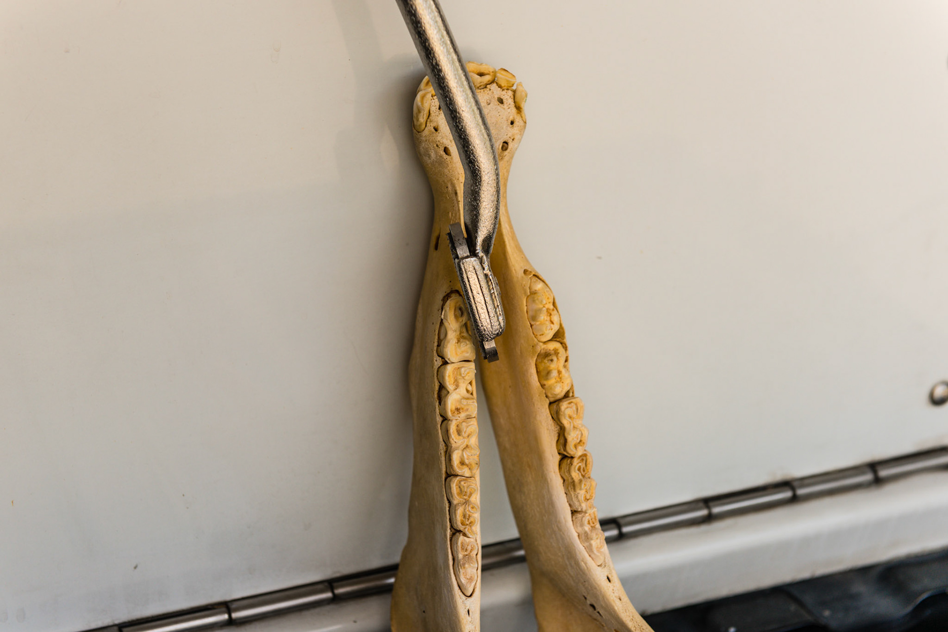 Shortie - yawed out on the lower 6.