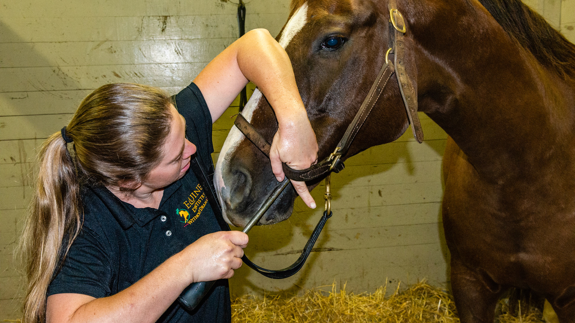 Melissa remains in alignment with the horse's head as he bends to his right. She also bends her body to accomodate his lowered head.  The core connection she displays is clear and the horse is responding well to it. This is a great example of the power of the nose in chest.