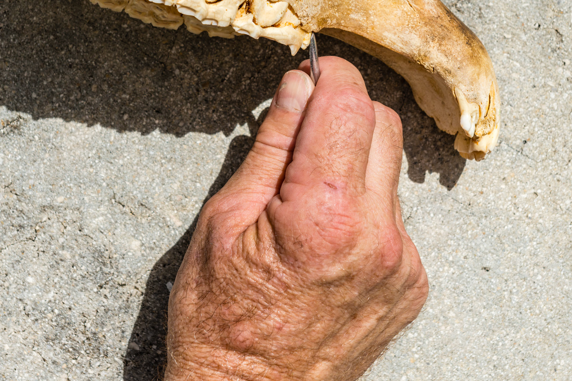 Various positions and angles you will need to approach the space between the 5 and 6 teeth to get a seat and grip the 5.