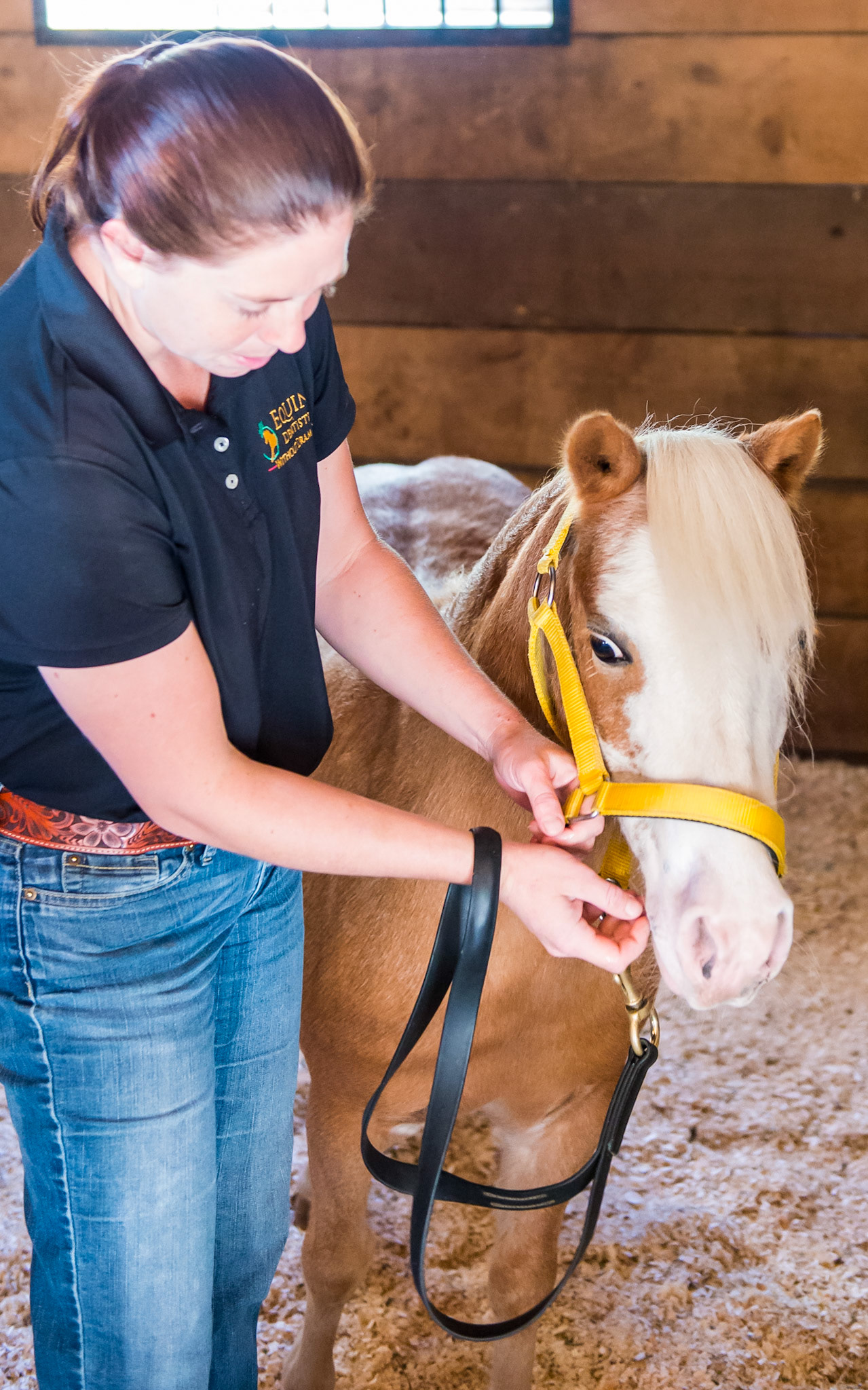 3/6 Melissa has moved to the off side and is connecting through her left hand as her right hand is introduced. Notice the circle of connection formed by the horse's head, Melissa's head, shoulders and 2 arms.