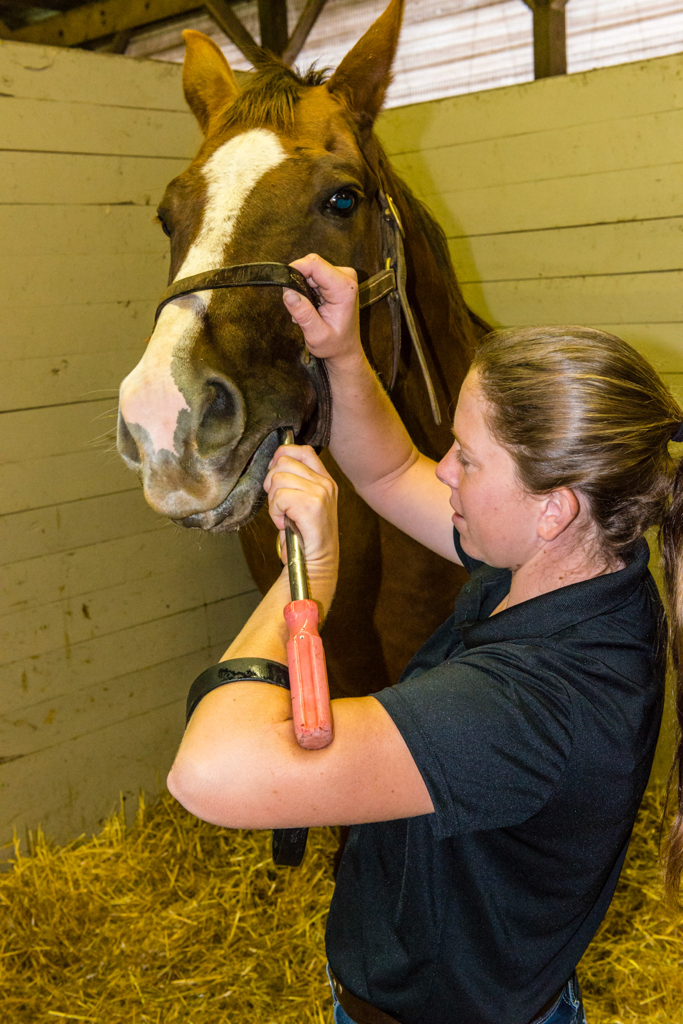 Here the cranny grabber technique is being applied to the 6-7 notch of the 3 arcade.