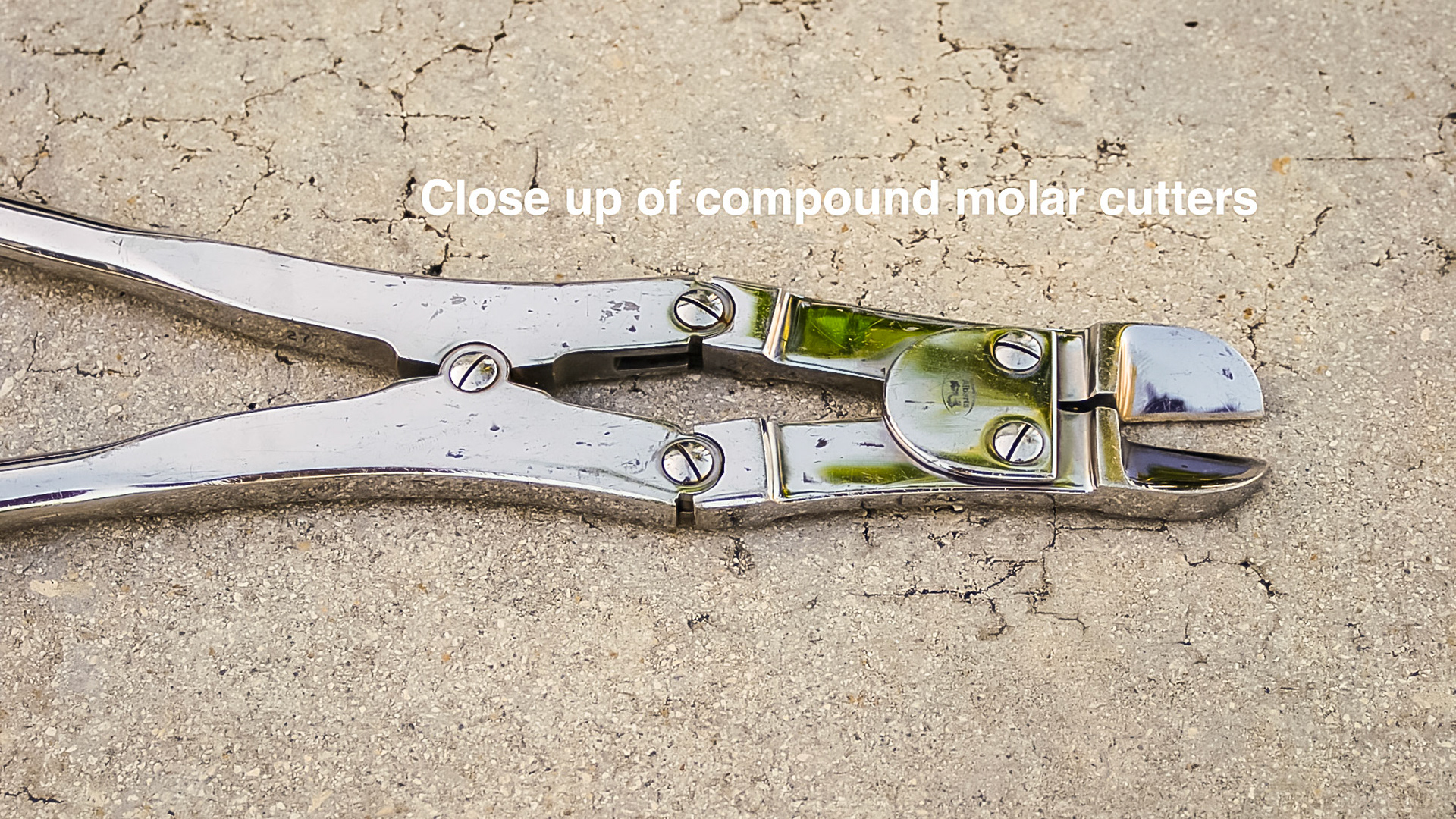 HDS_Anno_Instruments