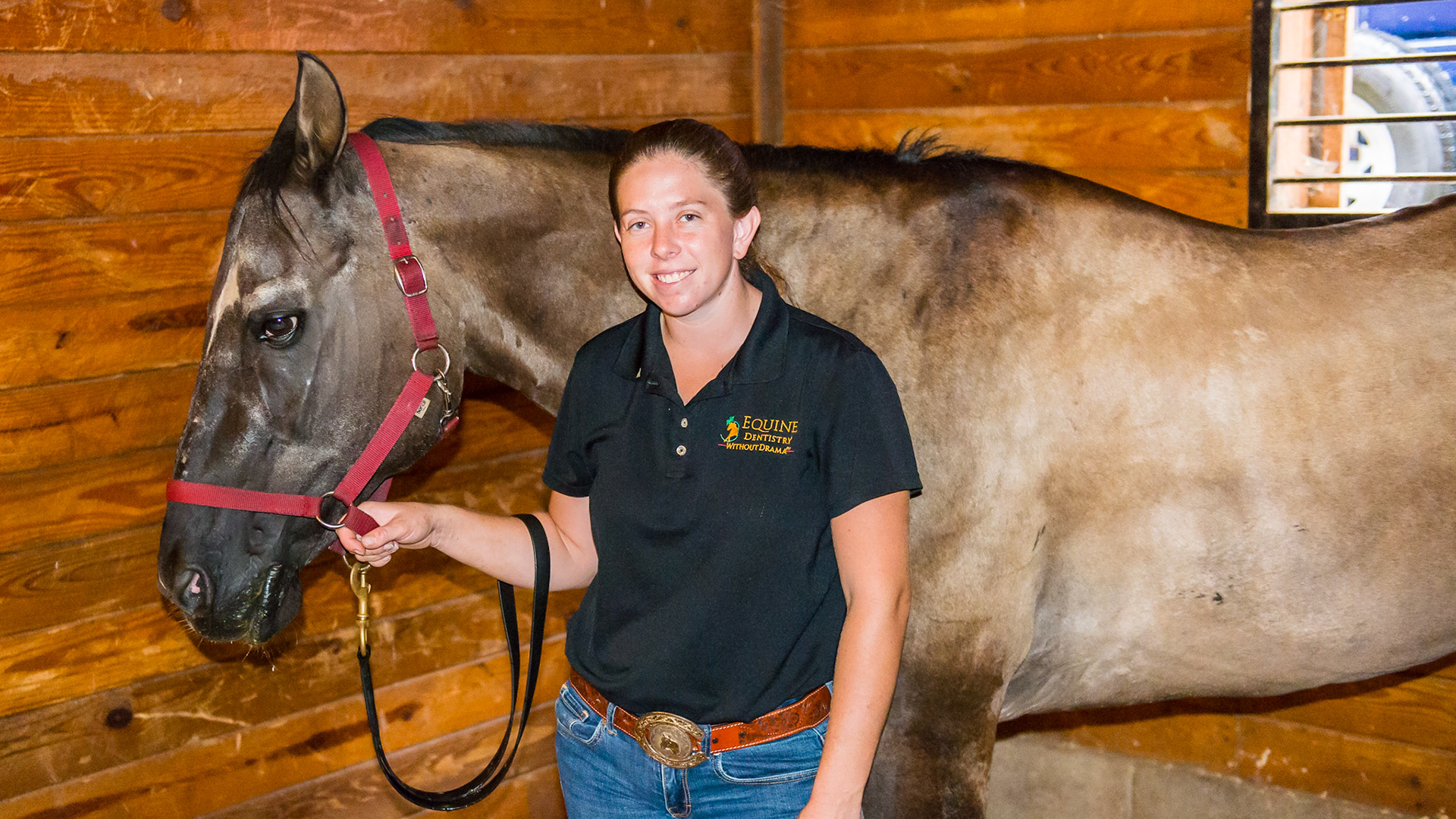 7/7 Melissa works on a difficult horse. A very confident choleric horse that doesn't connect well with people. This image of Melissa is to make up for the other one, but more importantly it shows you just how relaxed this horse is and she is not even half way done. This horse has been extremely difficult to float in the past for other dentistry work even with heavy sedation.  The reason is simply because the dentist had not used the leadership skills necessary to connect with this confident and independent horse (these traits obviously seen in the horse standing here).