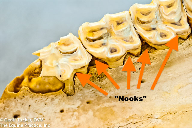 HDS_Anno_Nooks and crannies