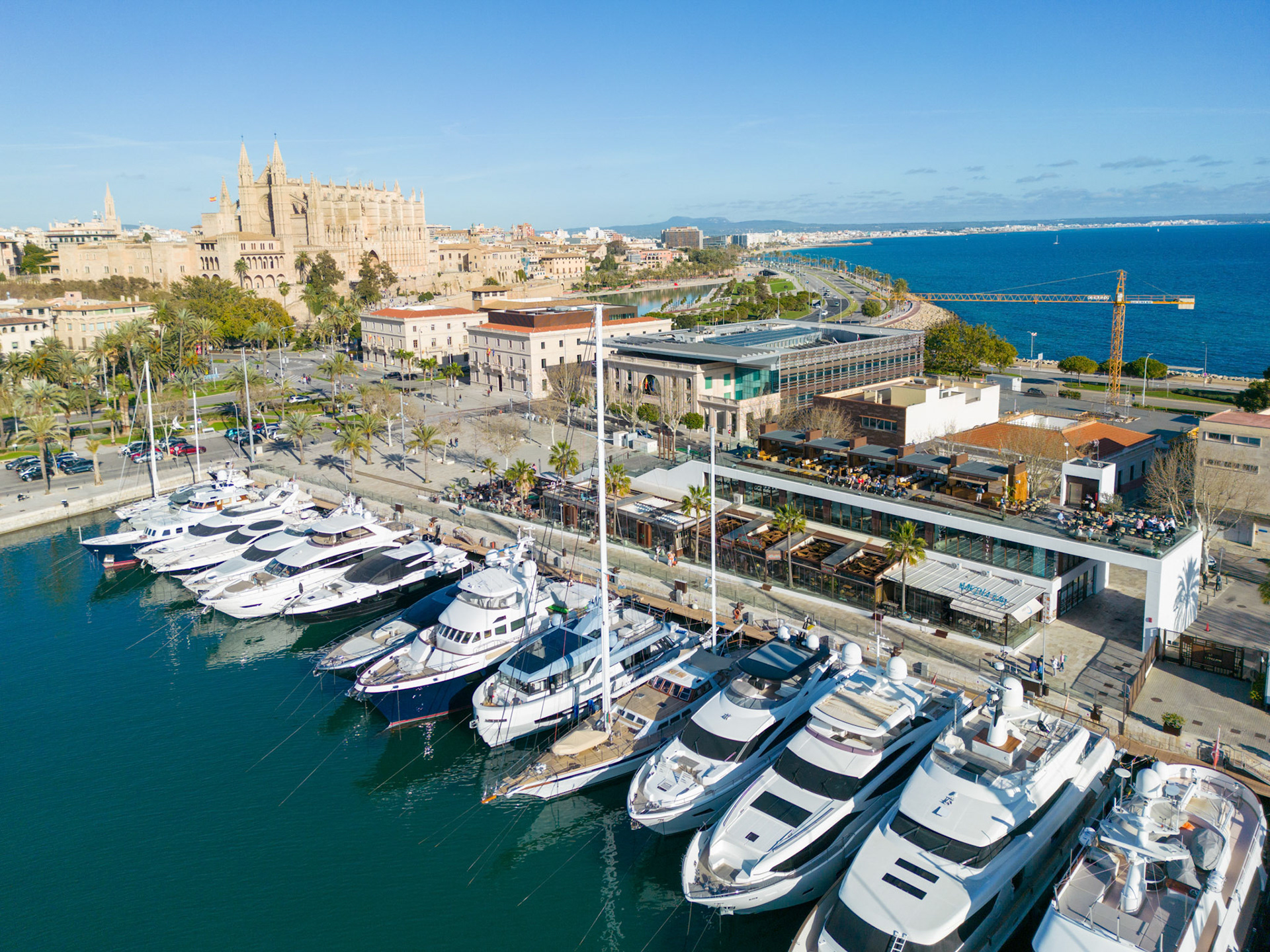 Drone photography of yachts and Palma Cathedral captured for Med Vida in Palma de Mallorca