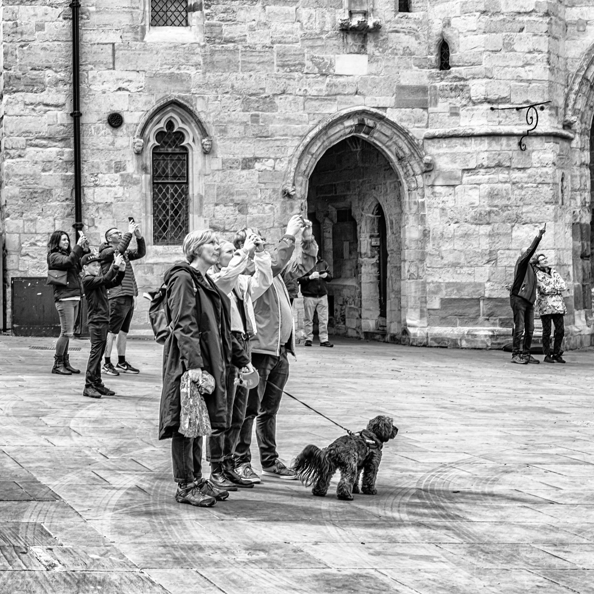 "Watching" the bell ringing 