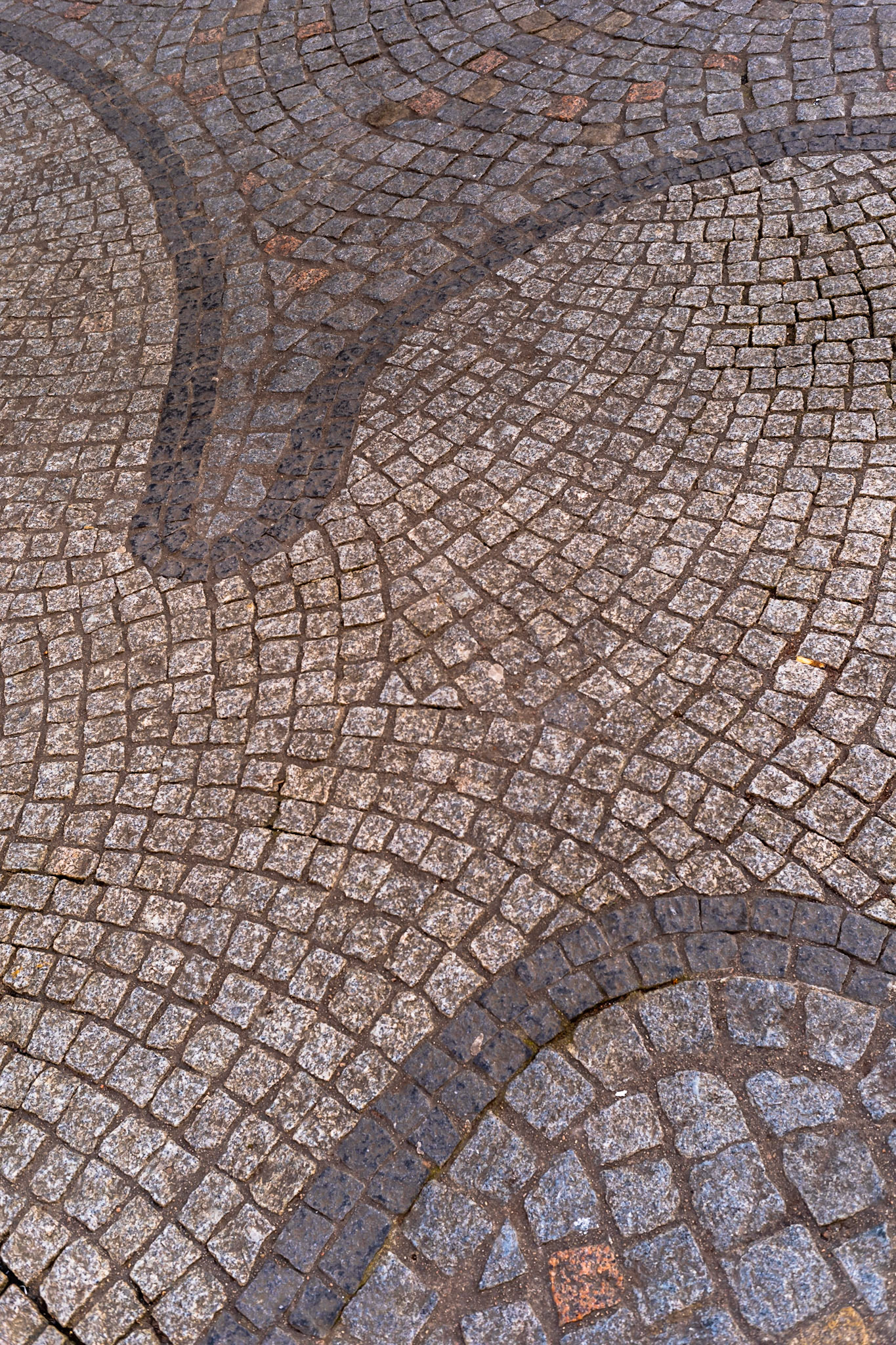 Curves_5