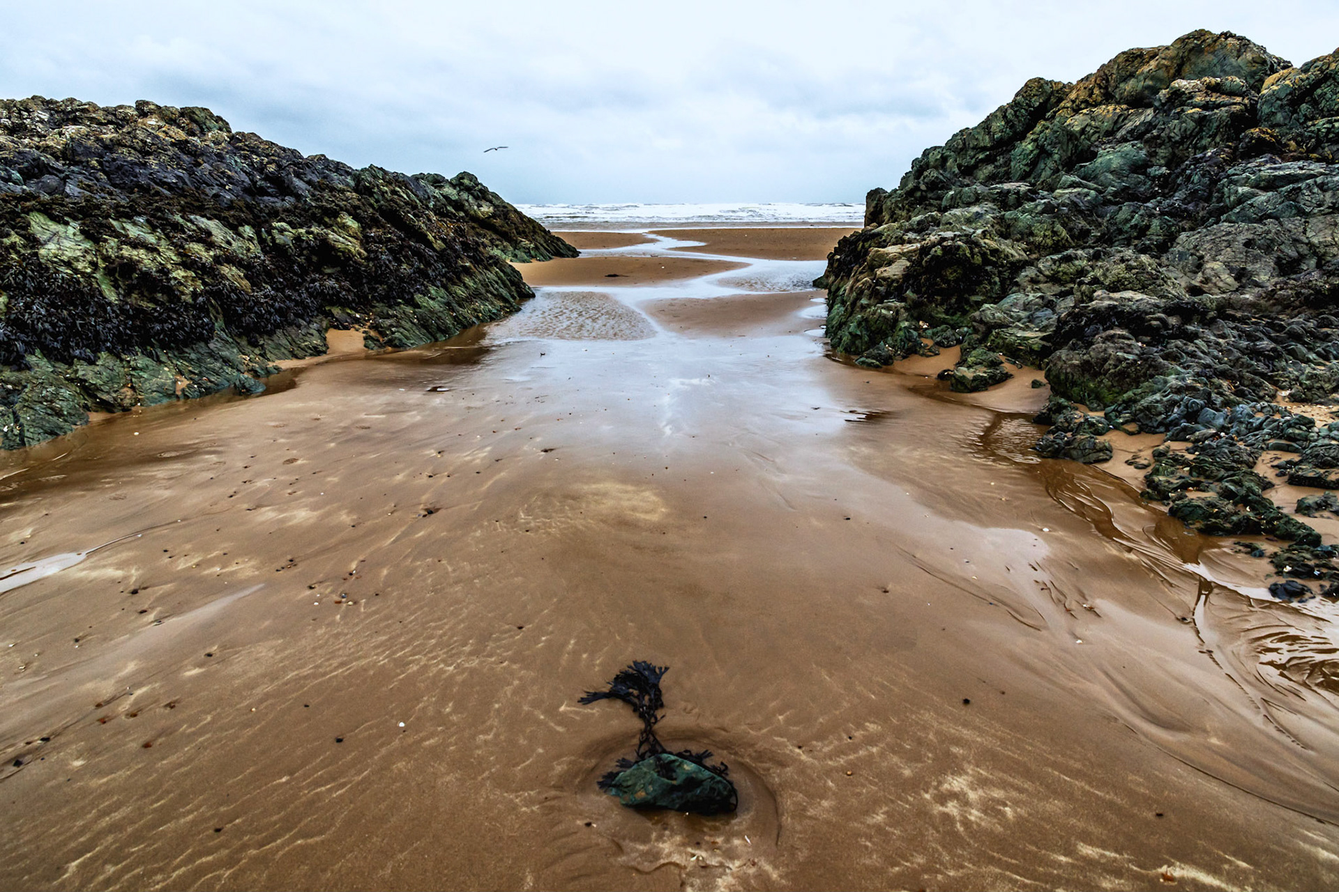 To the sea