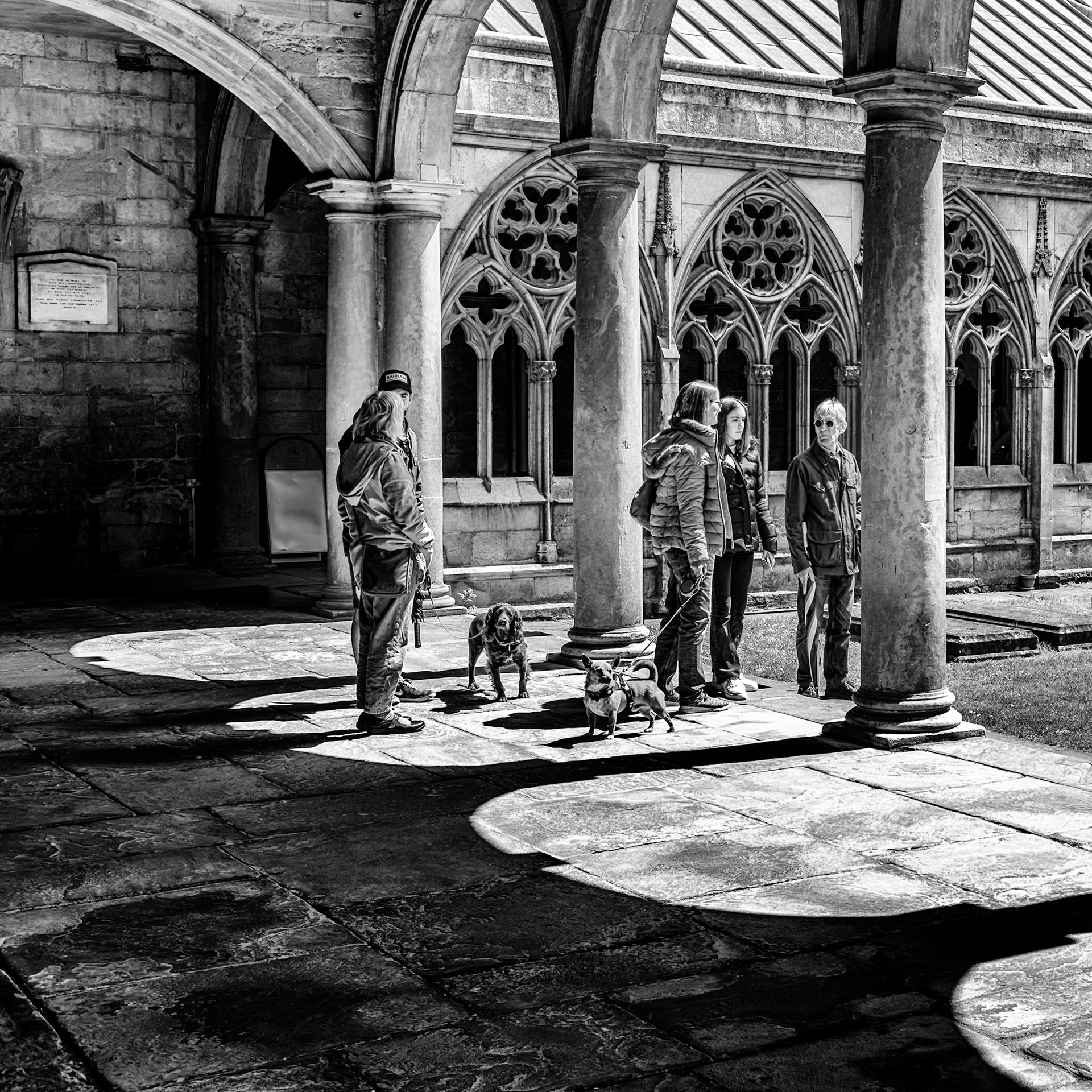 Cloister shadows
