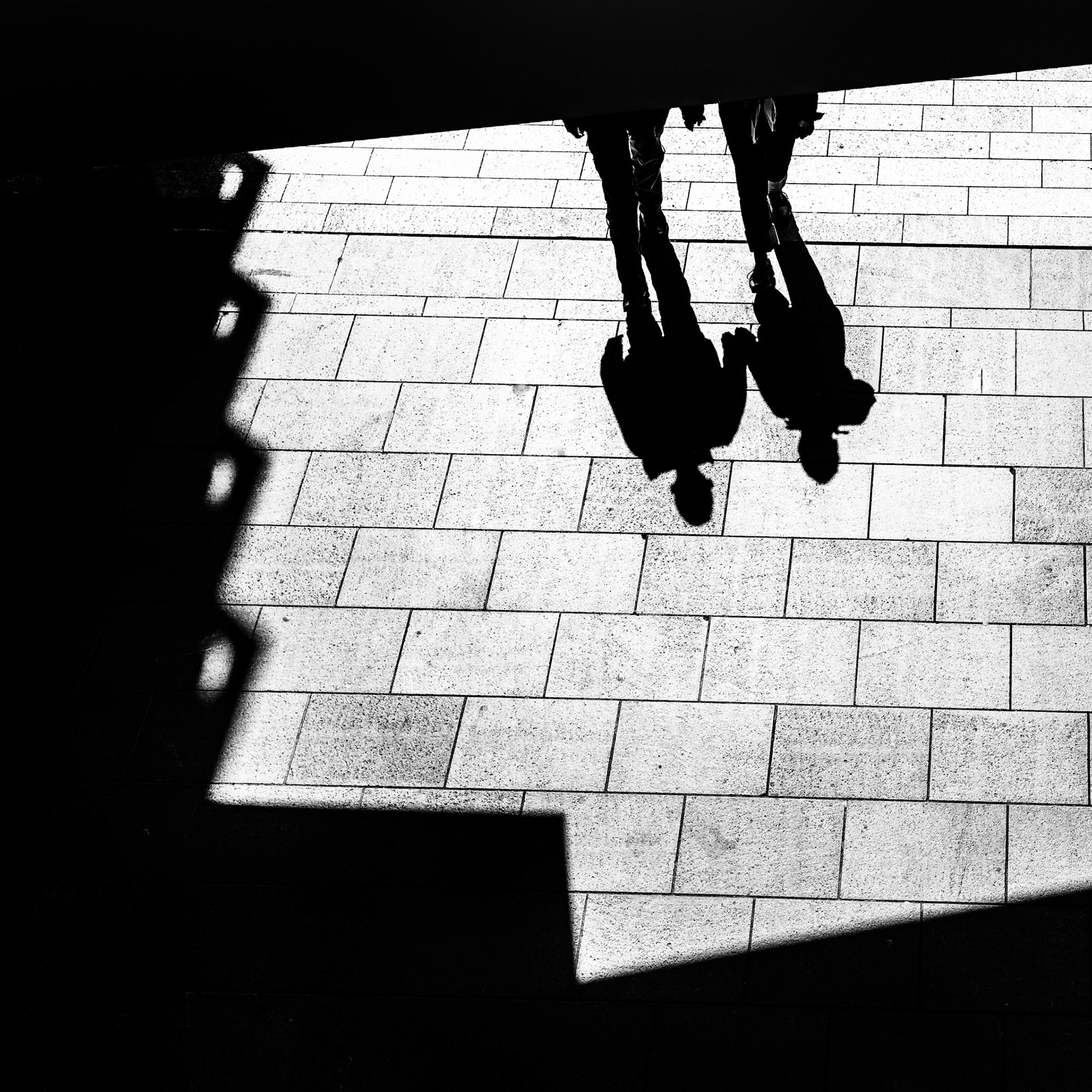 Shadow play_2