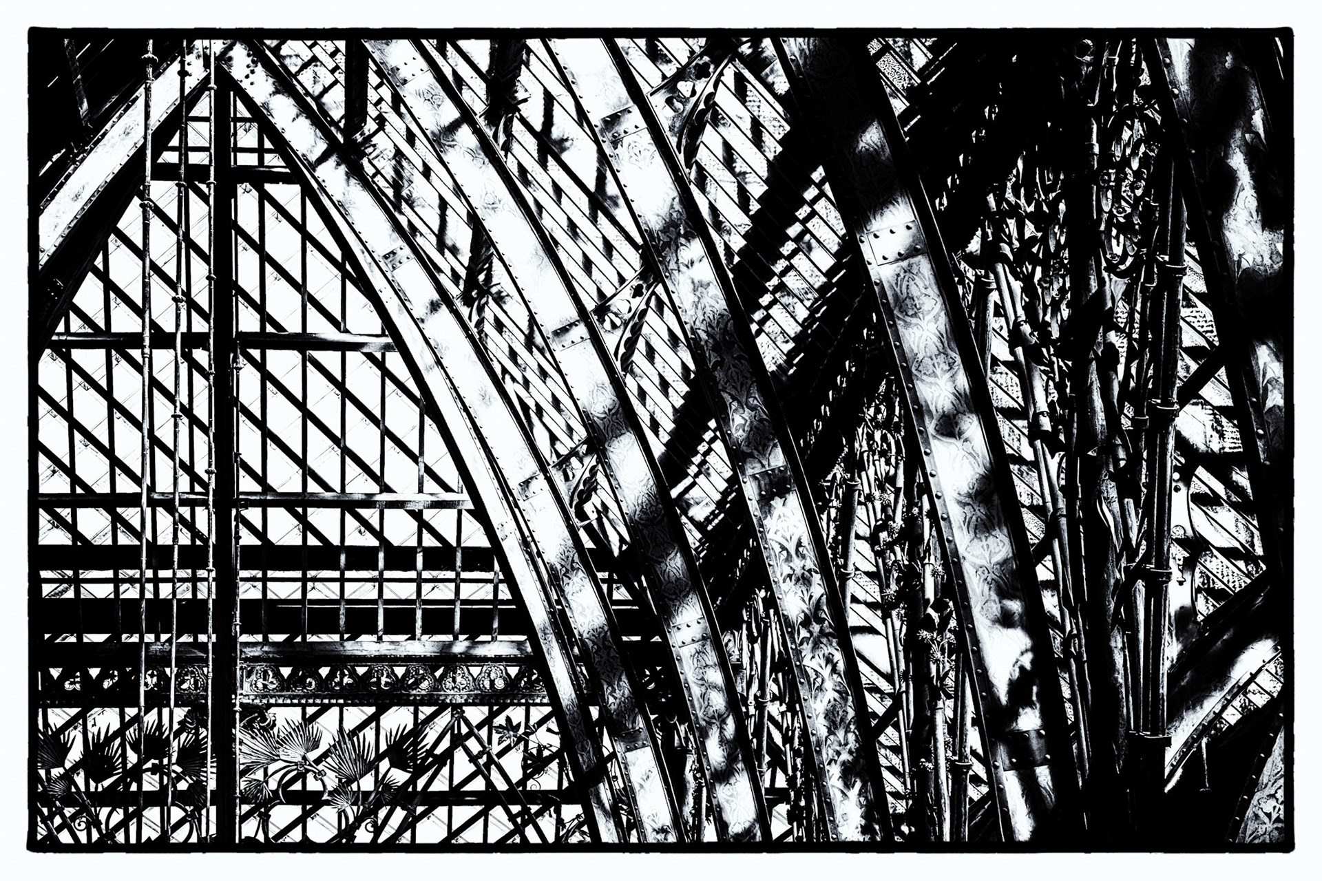 Oxford University Museum of Natural History