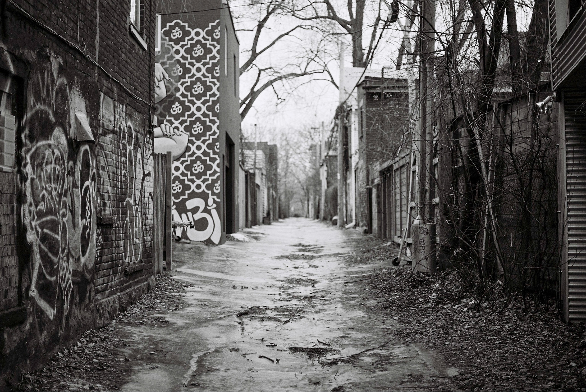 Ruelle glacée 