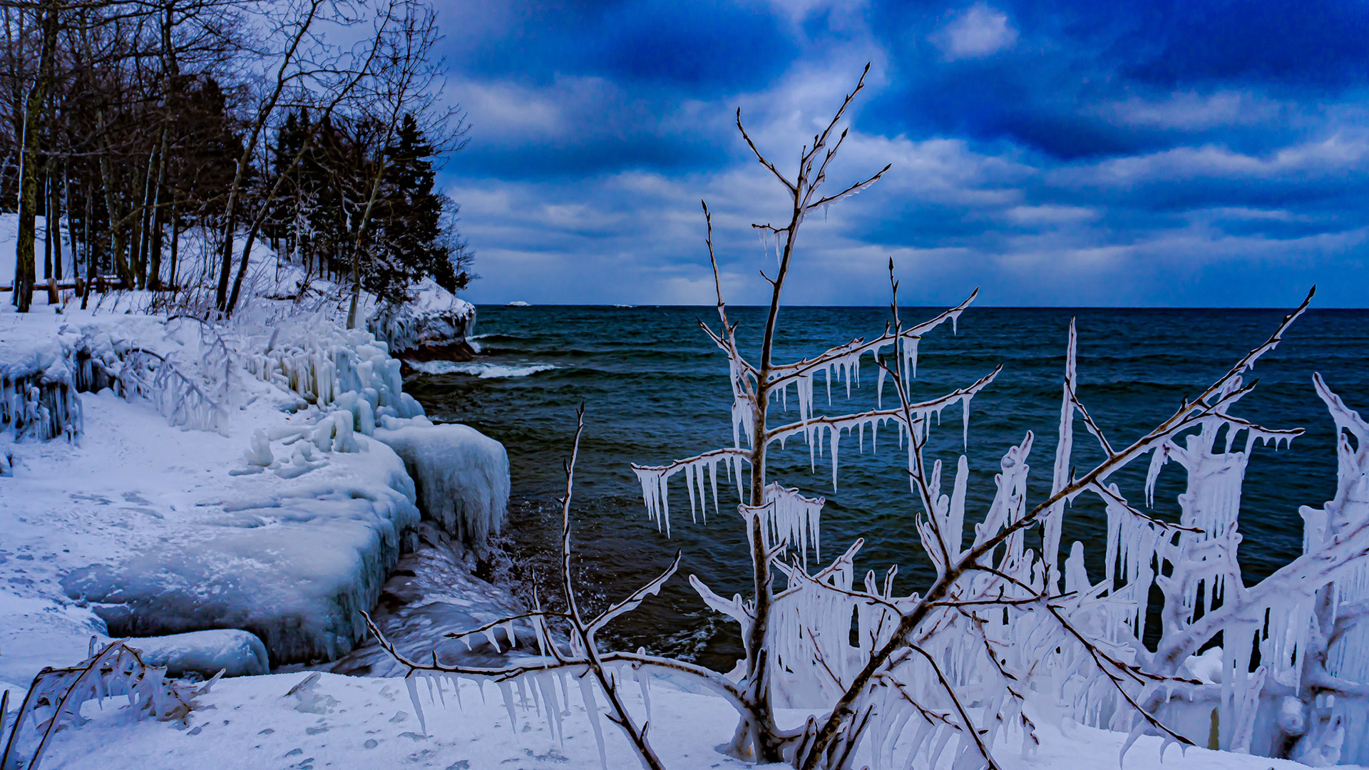 Winter's Cold