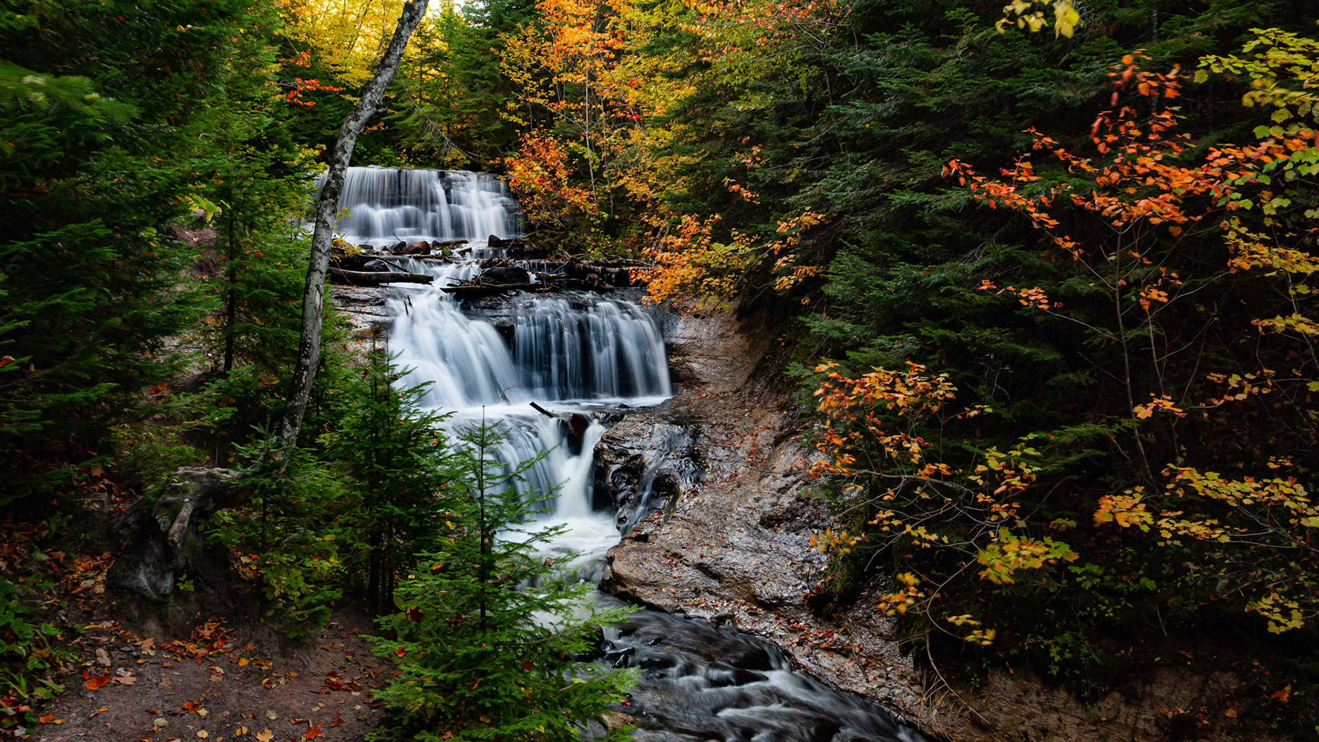 Autumn Waterfall