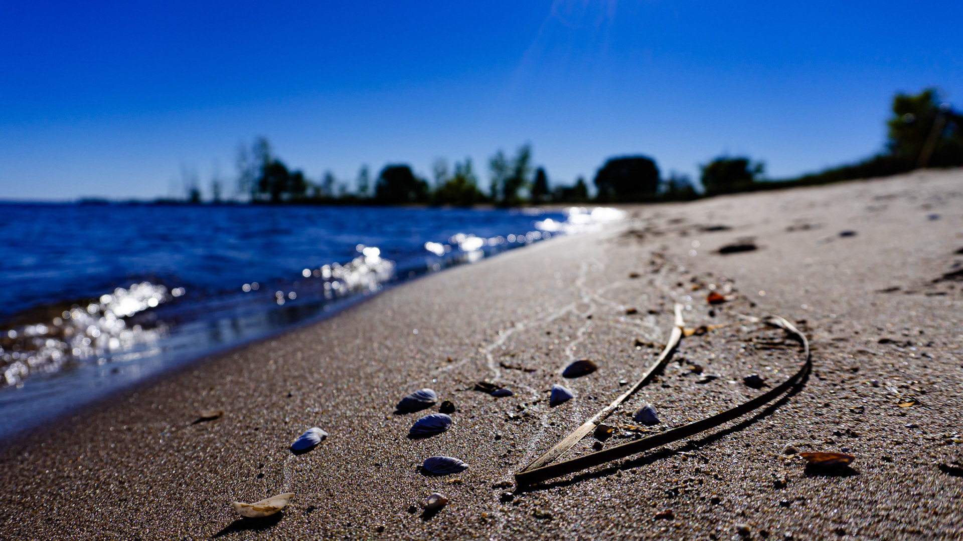 Just Some Sand