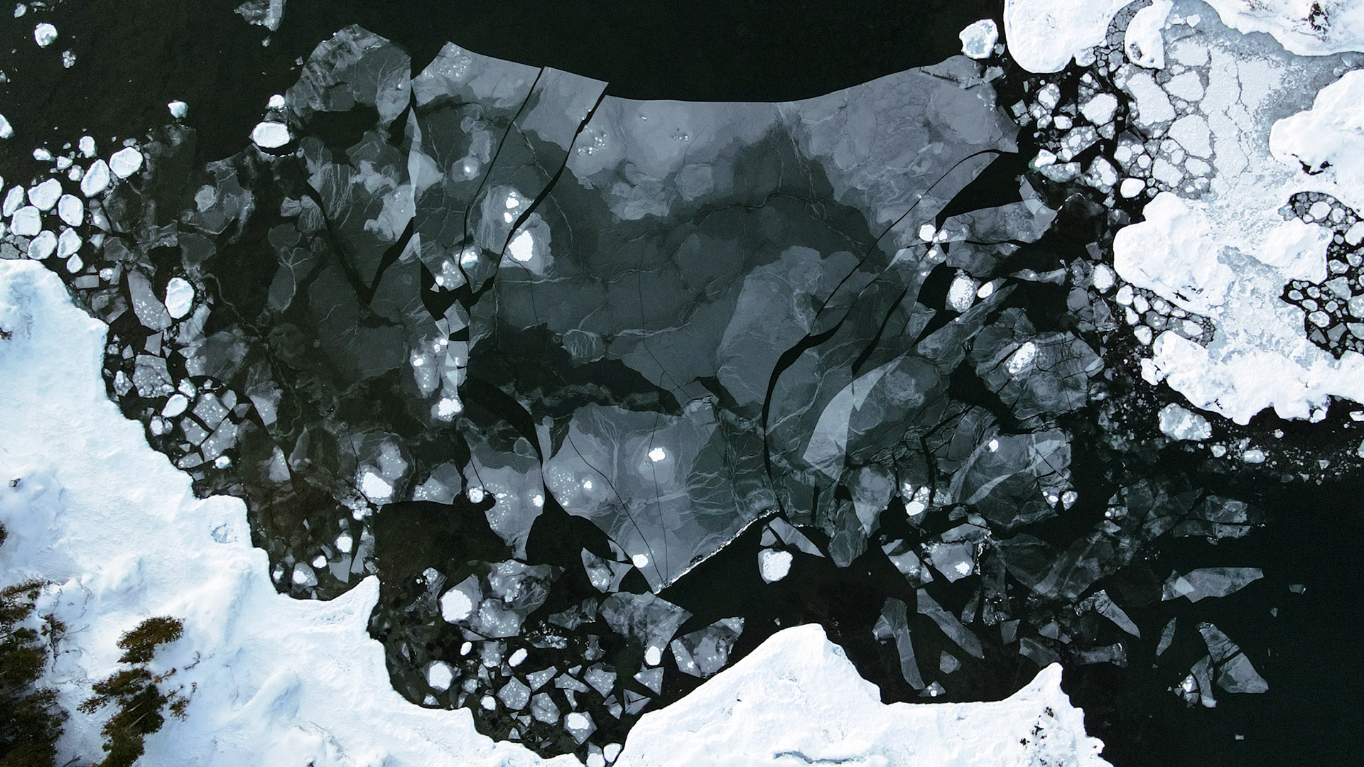 Thin Ice