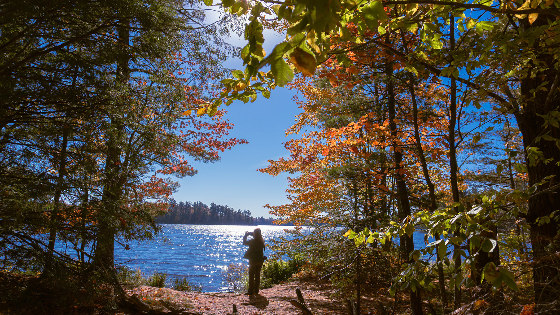 Capturing Fall